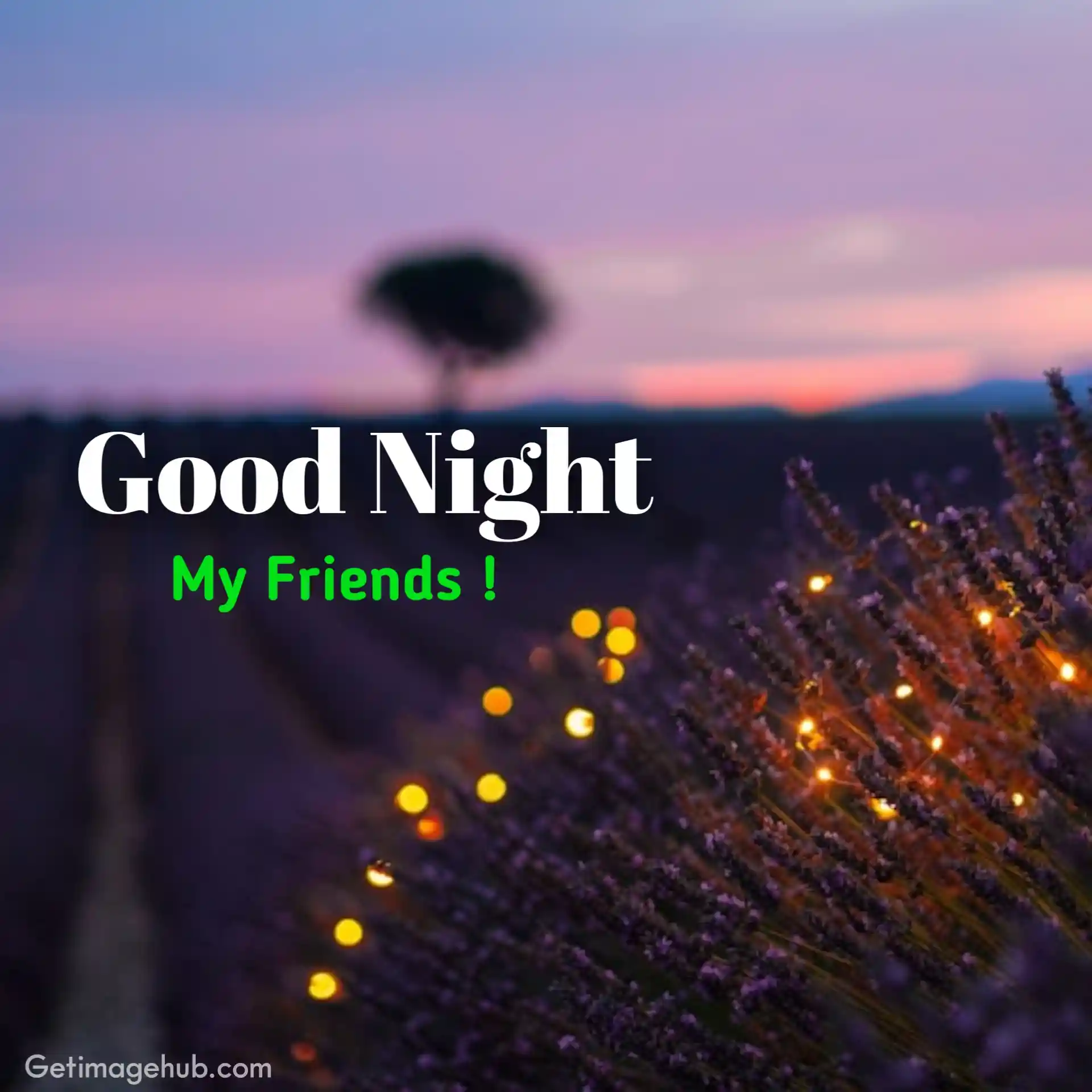 Good night Pictures of my lovely friends