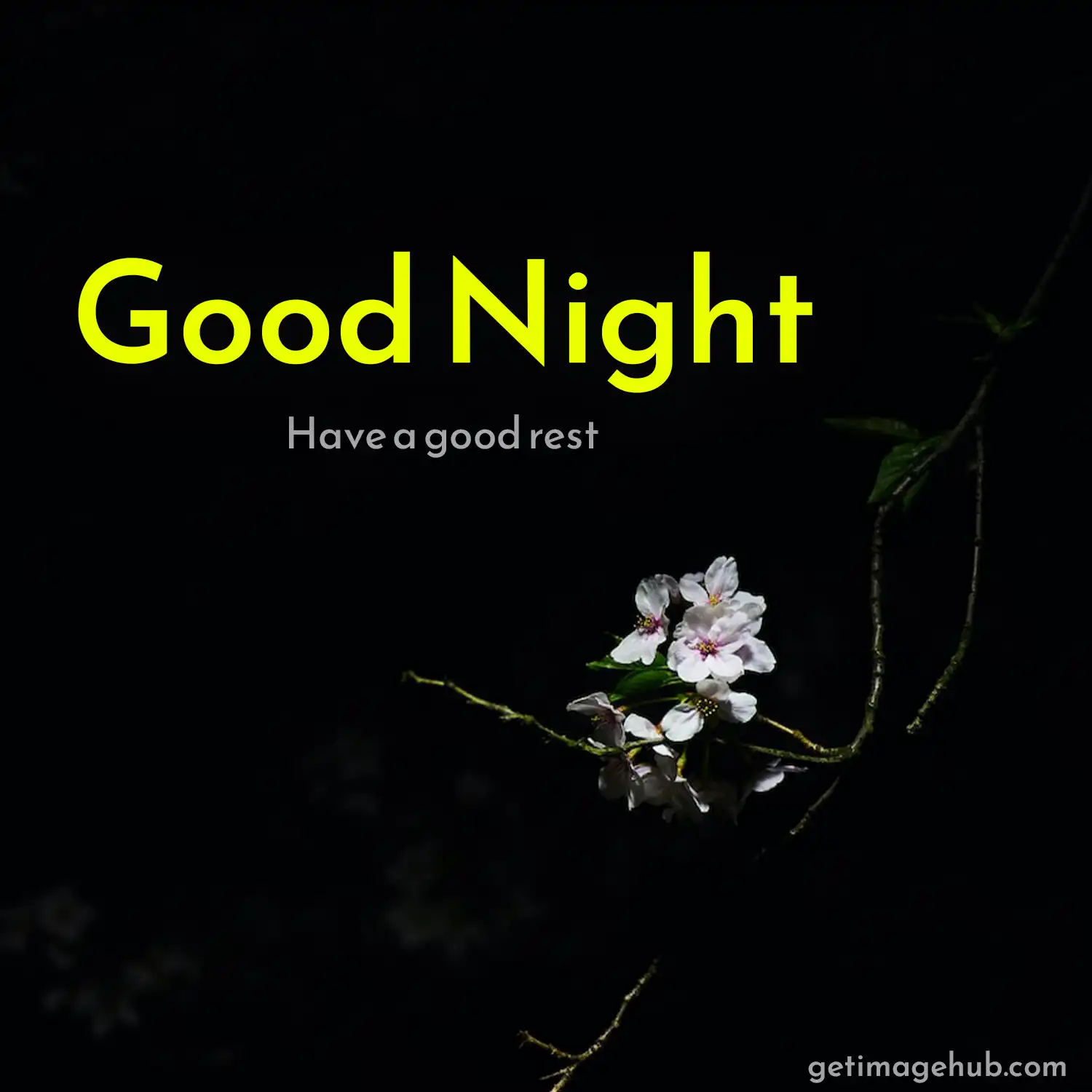 Beautiful good night images