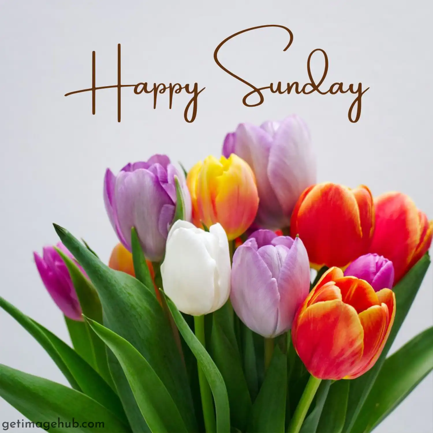 Beautiful happy sunday pictures