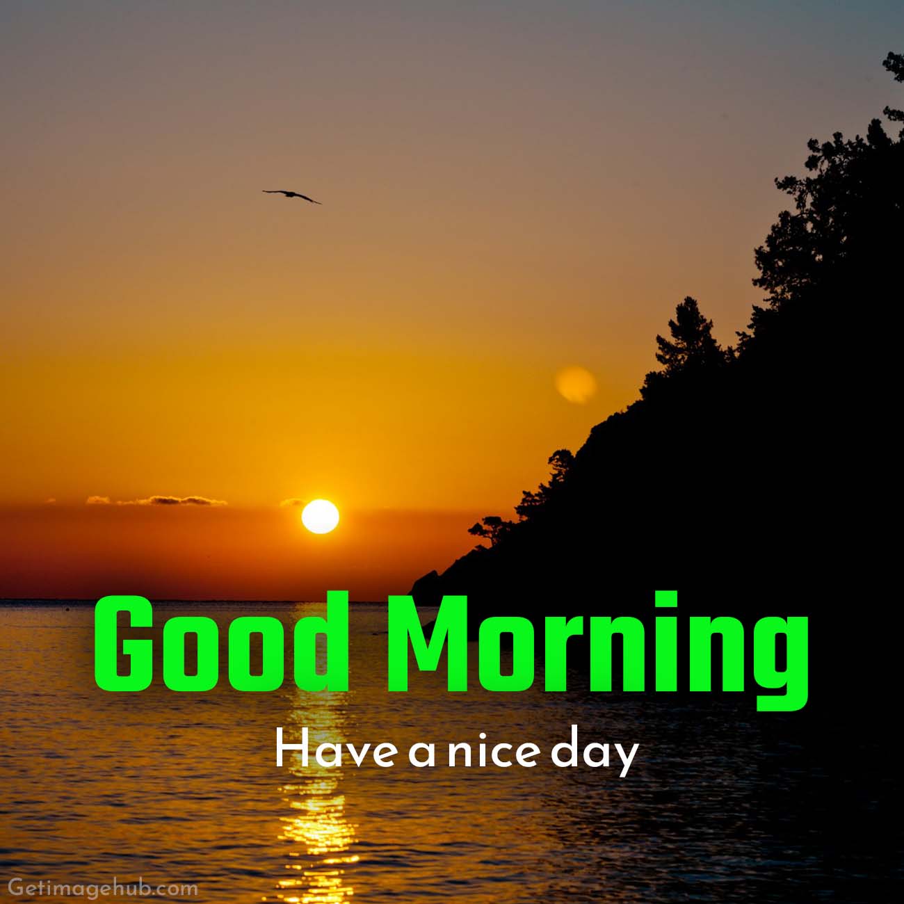 Best Good Morning Sunrise Images