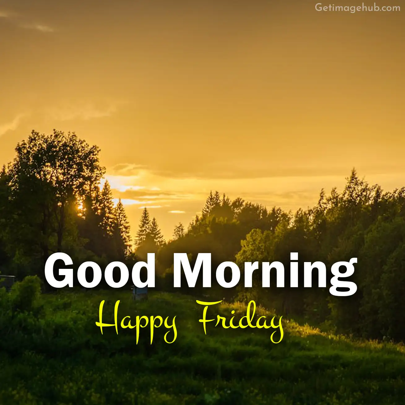 Good morning friday images