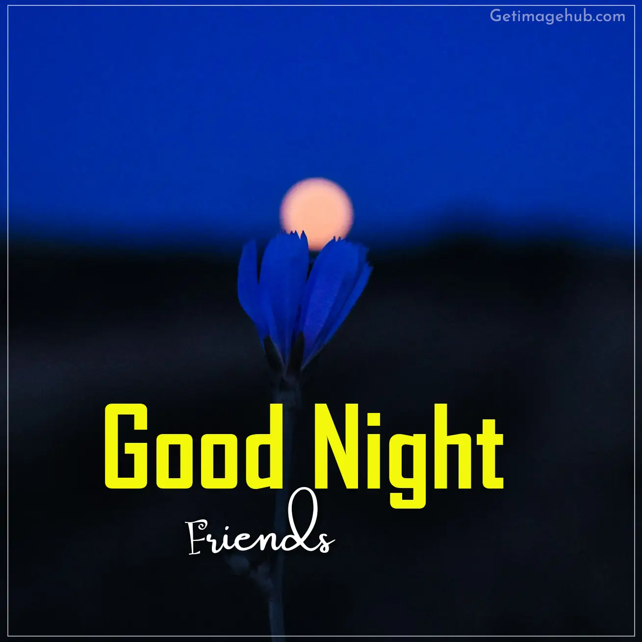 Good night friends