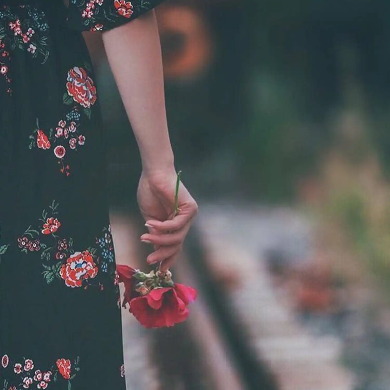 Girl with rose hands DP