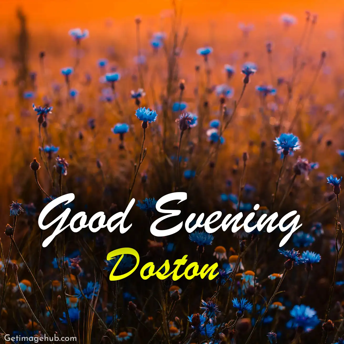 Good evening Doston