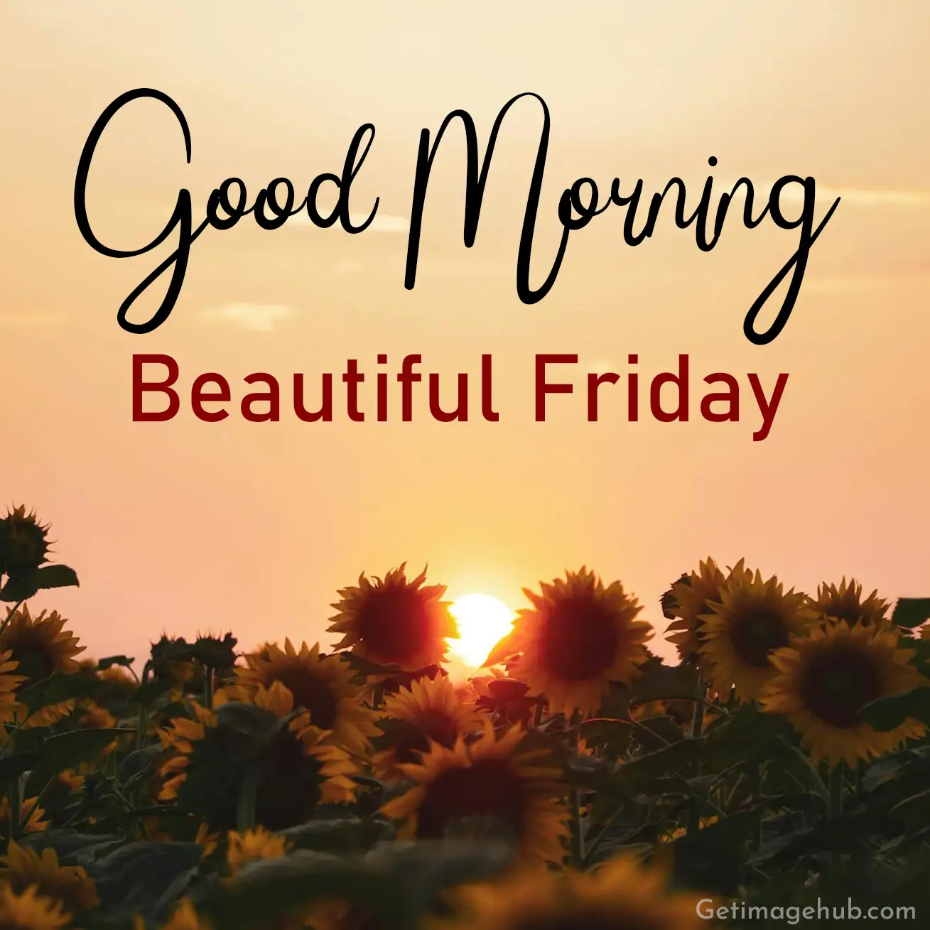 Good morning beautiful friday images