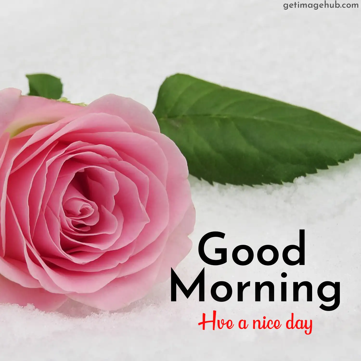 Good morning flowers pictures