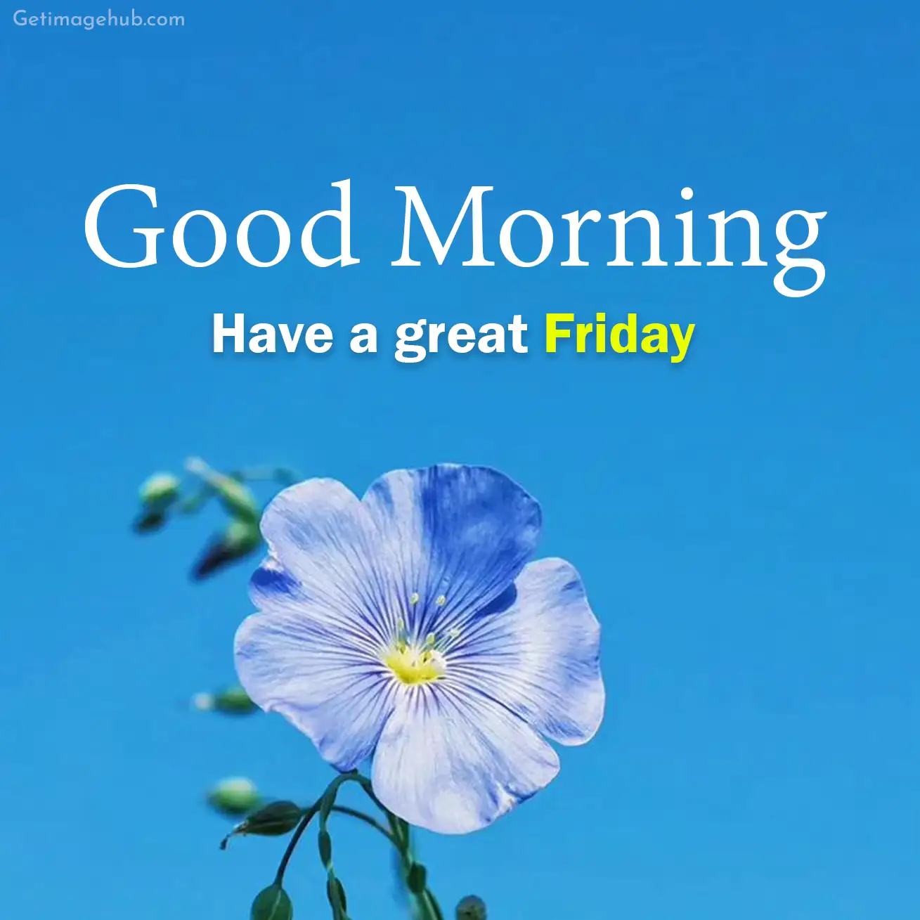 good morning friday images