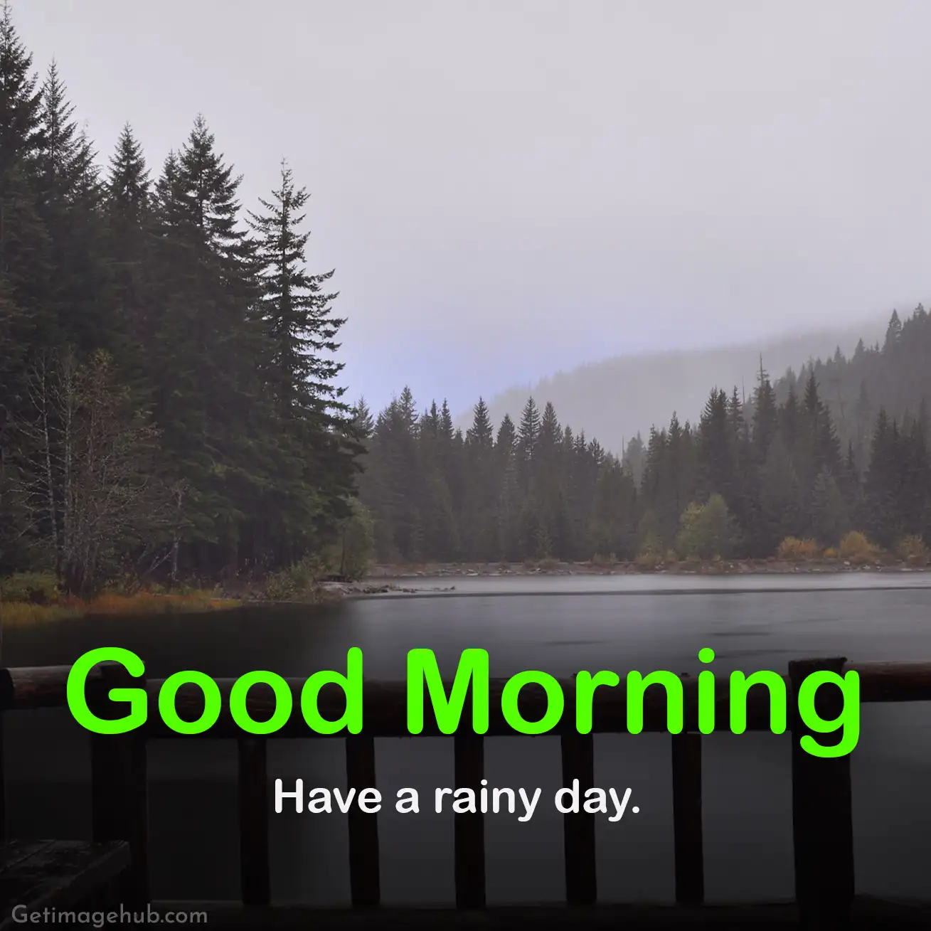 Good morning, have a nice rainy day