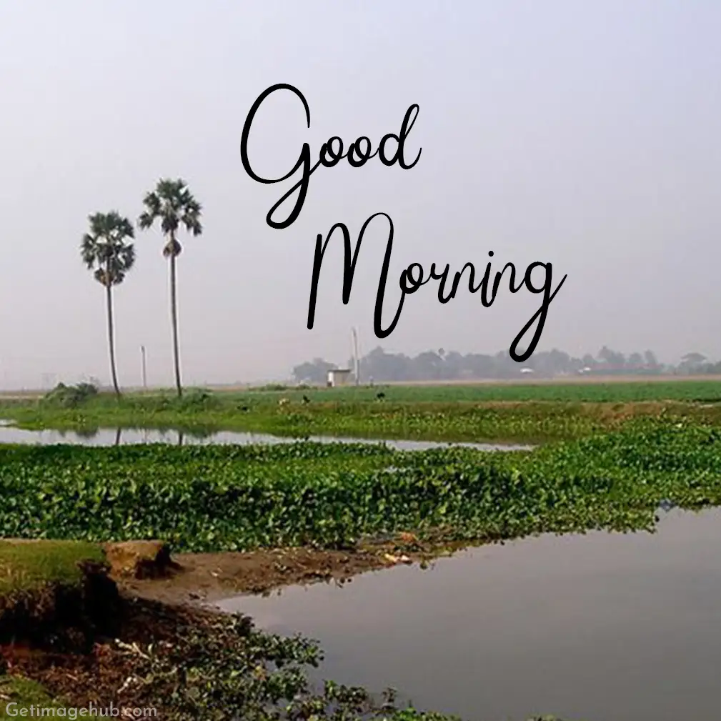 good morning images hd village images