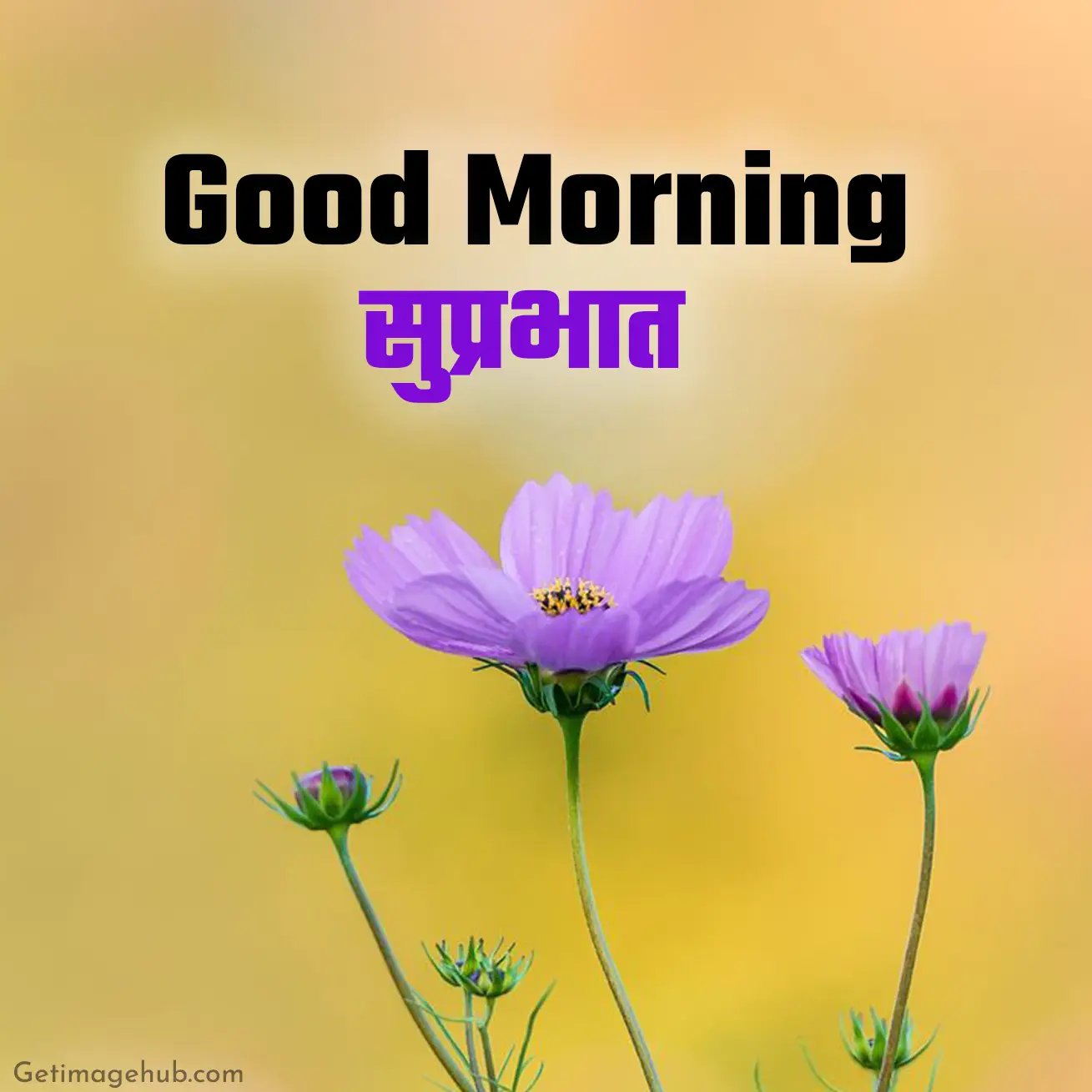 Hindi good morning images