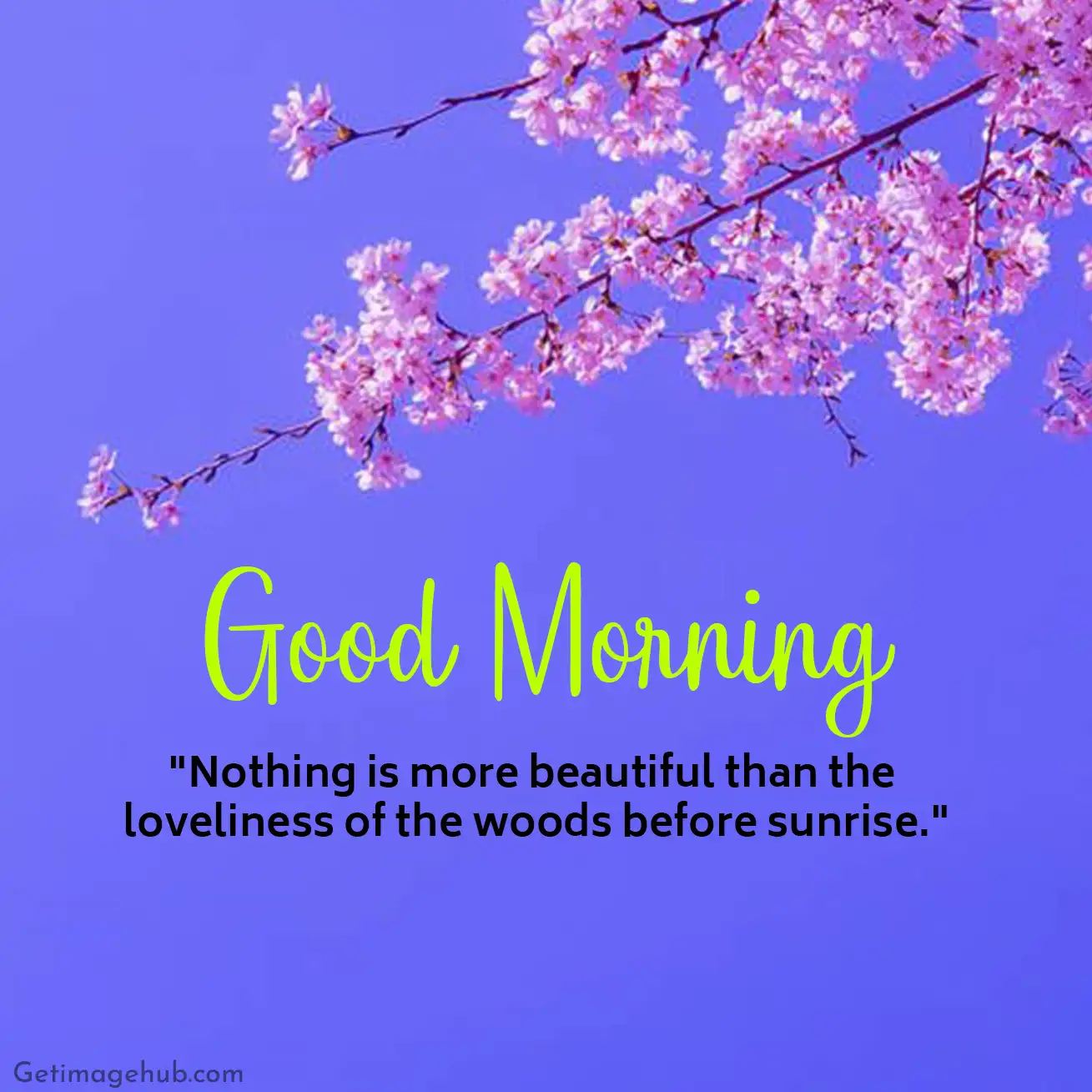 Good morning pictures with positive words