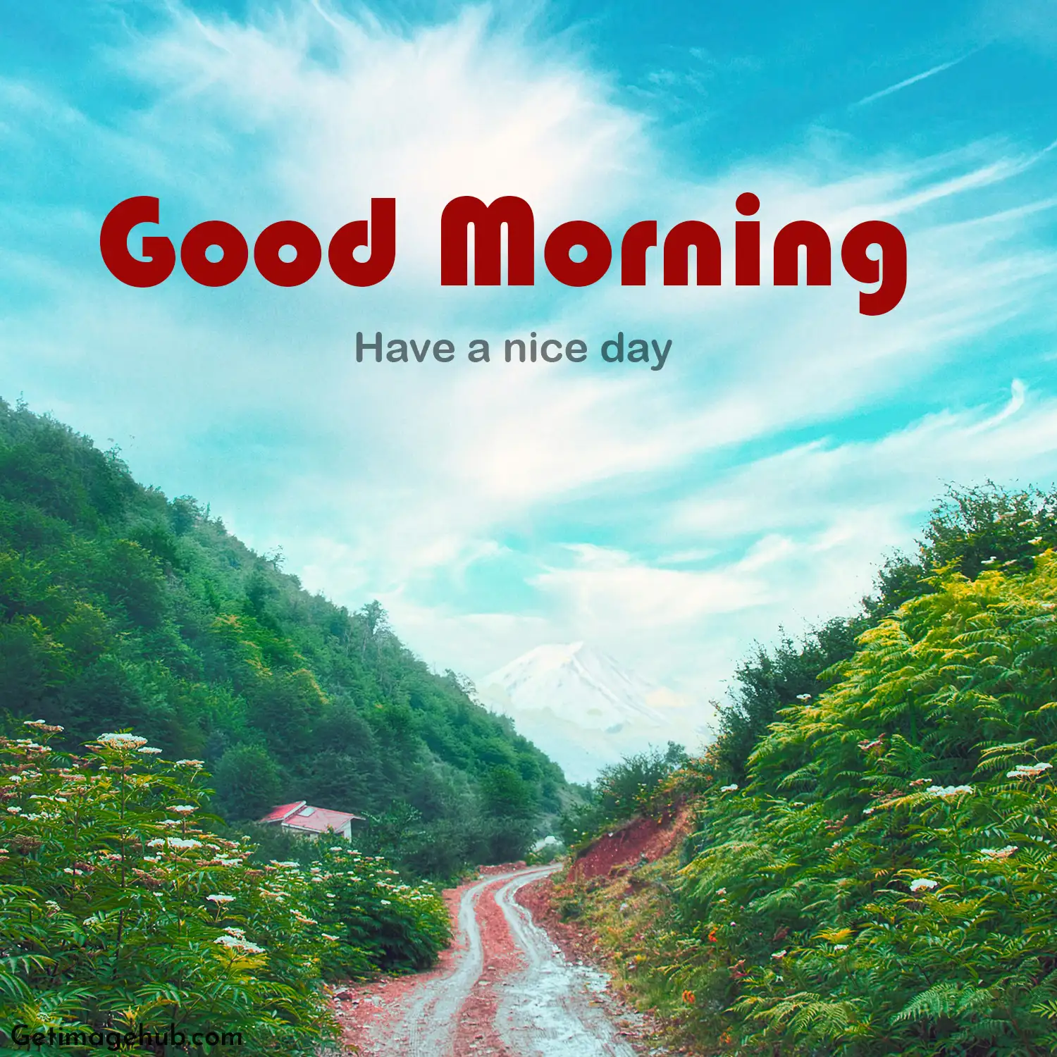 good morning nature pictures