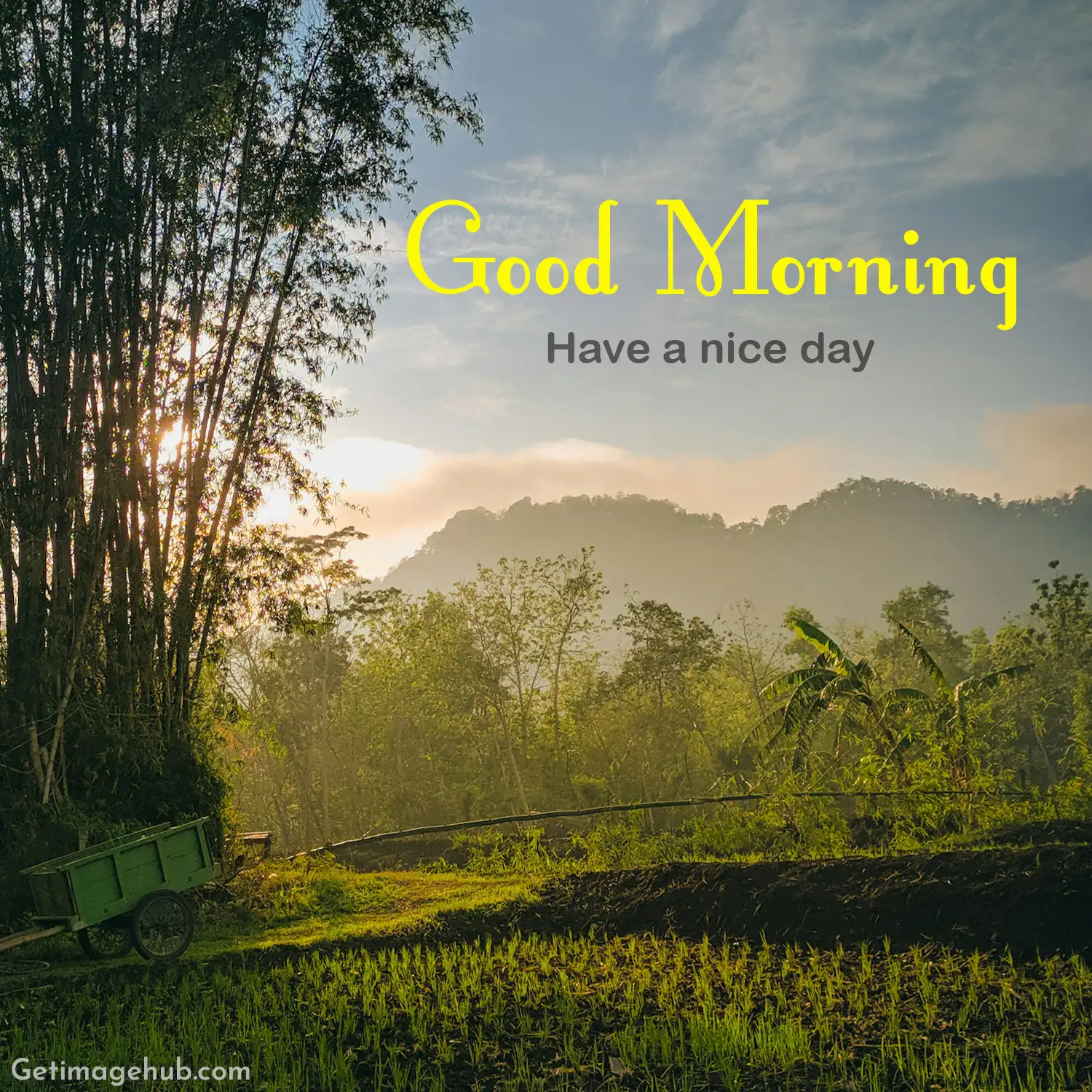 good morning nature pictures