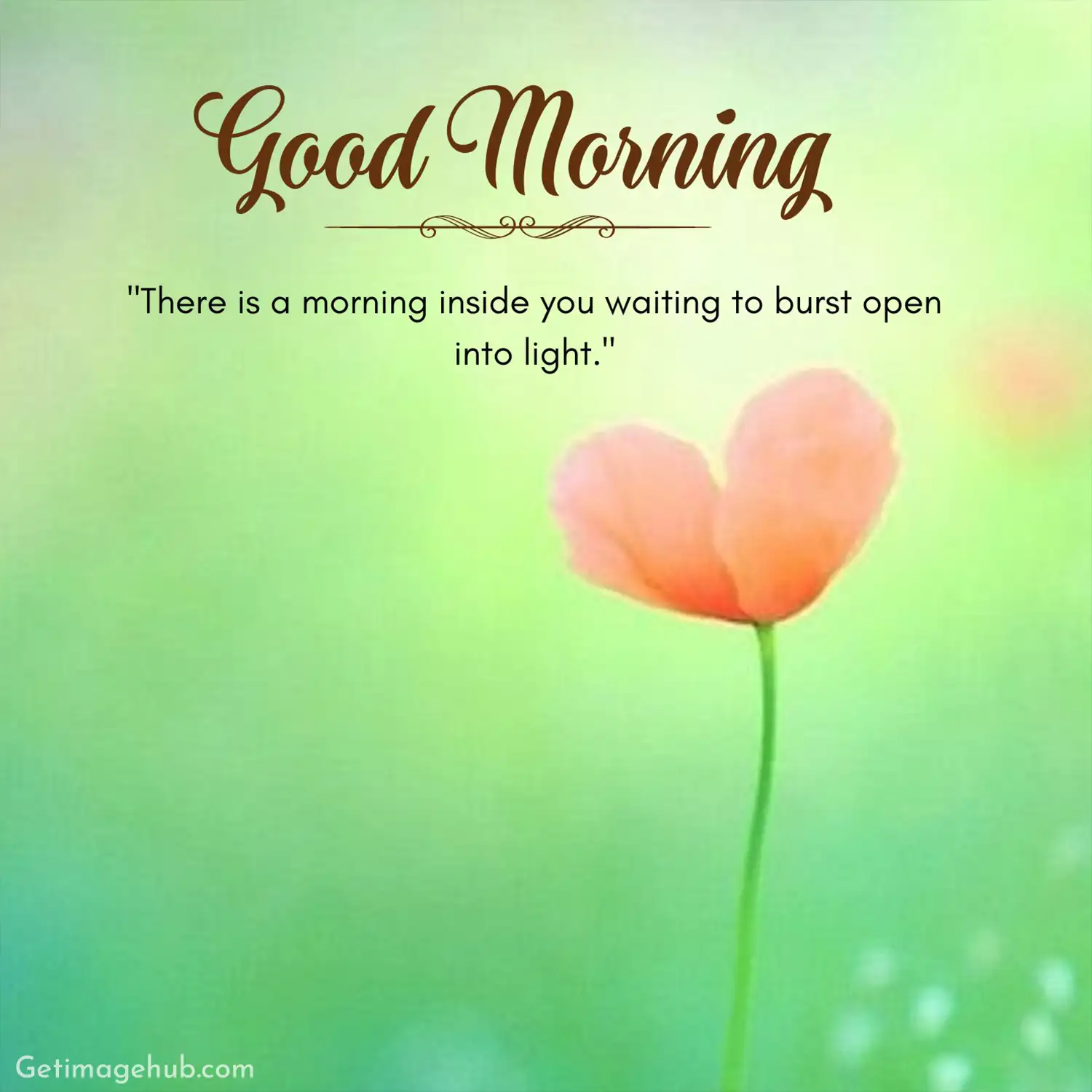 Good morning pictures positive words