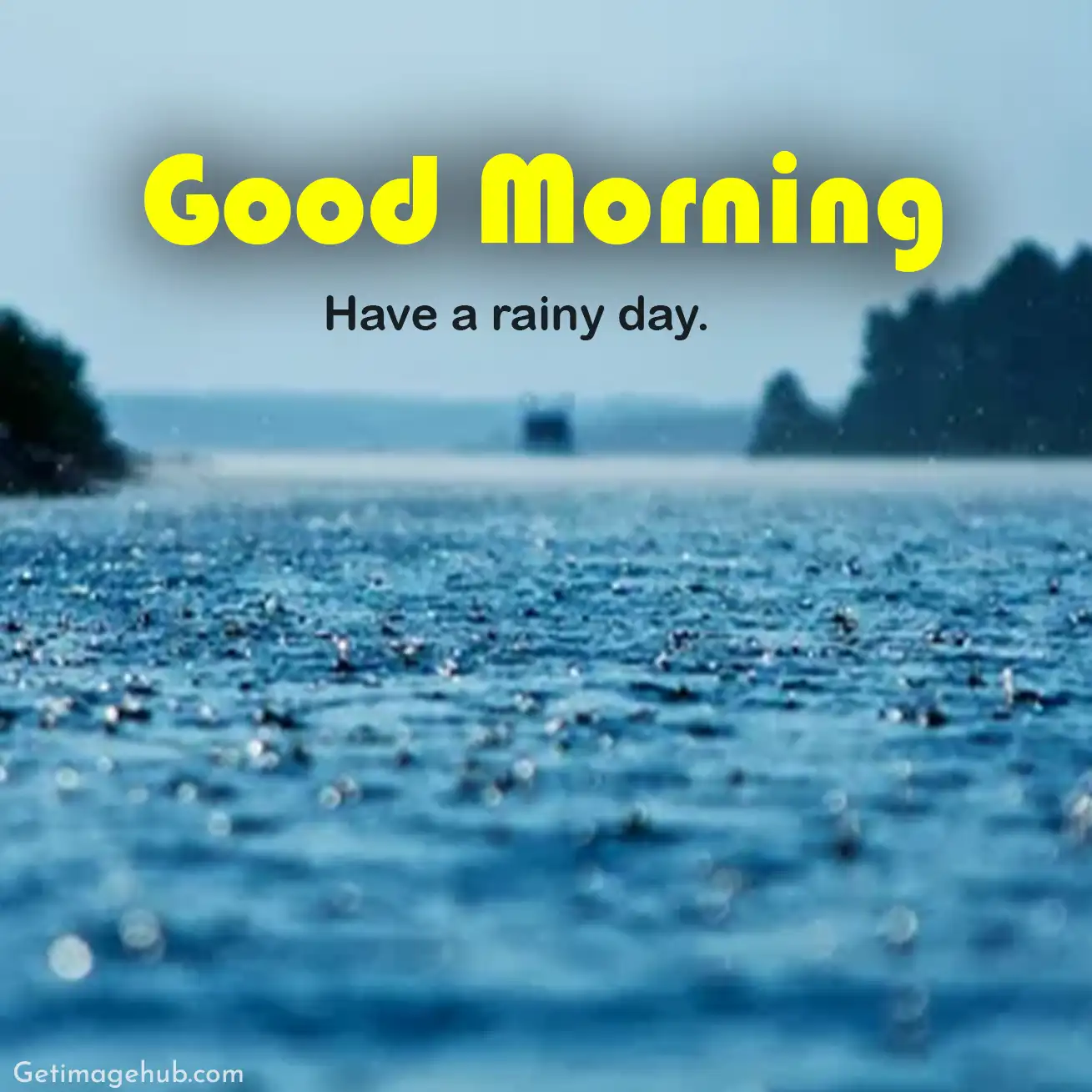 Good morning, it's raining, photo