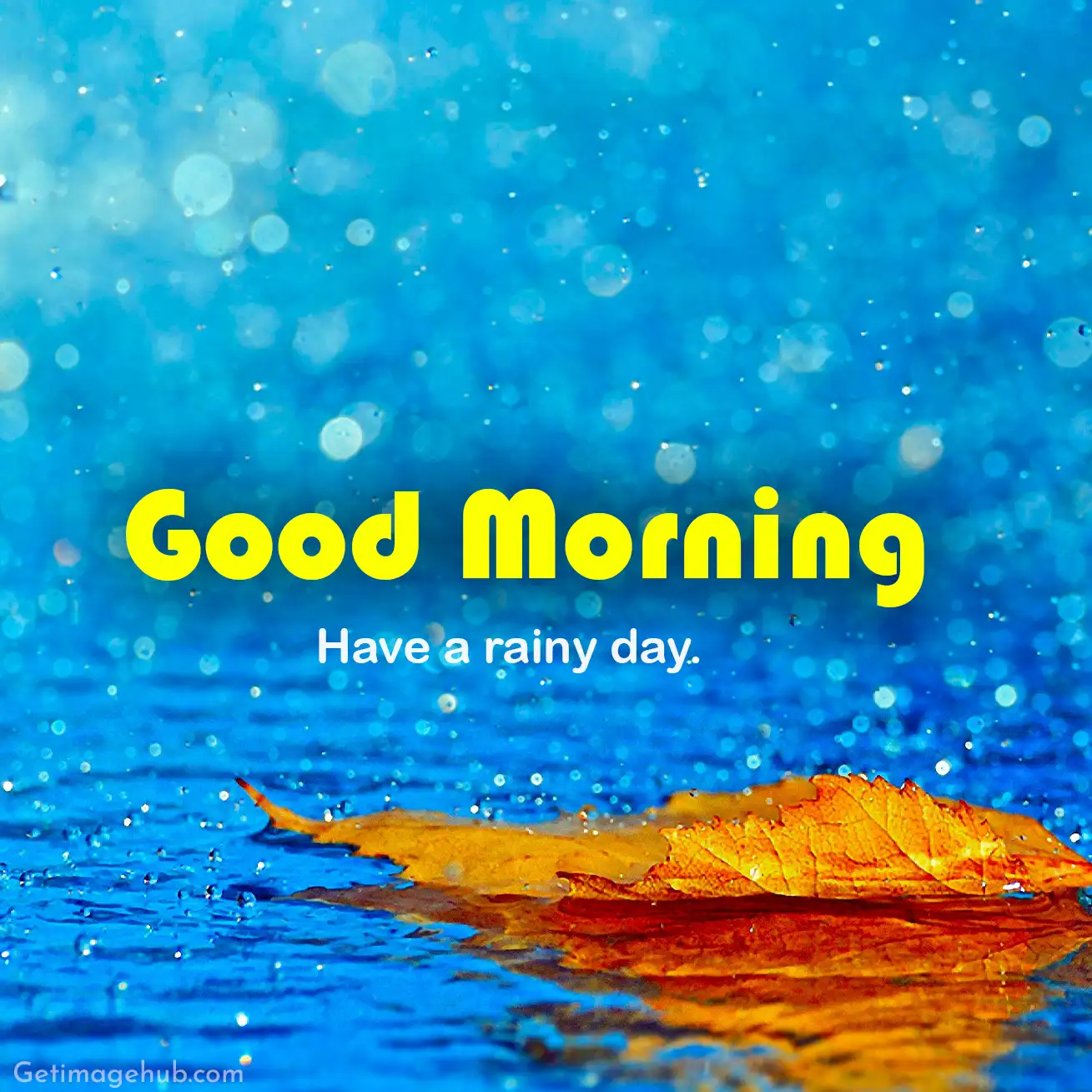 Good morning rainy day pictures