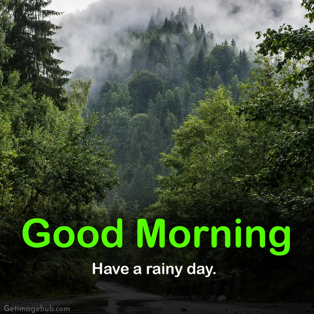 Good morning, rainy day