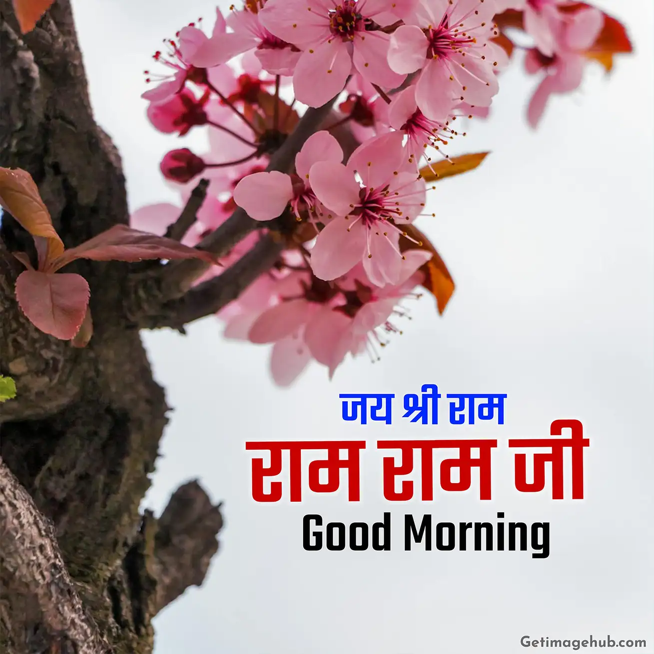 Good morning, Ram Ram Ji