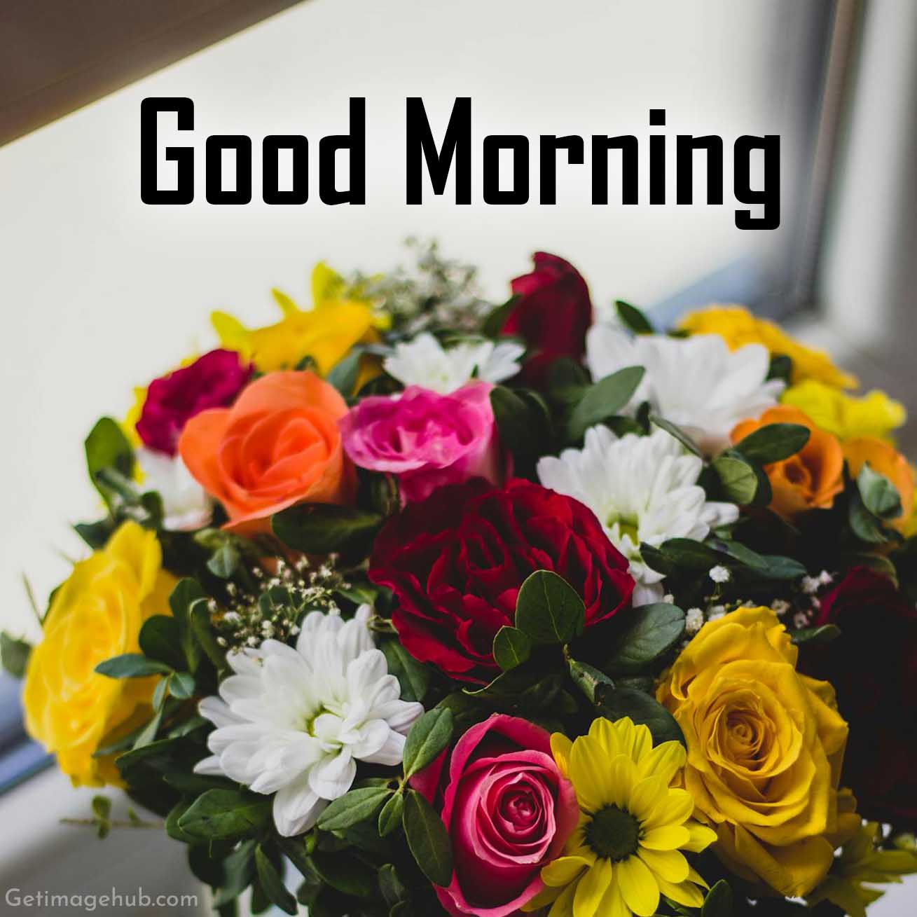 Good Morning Rose Images HD