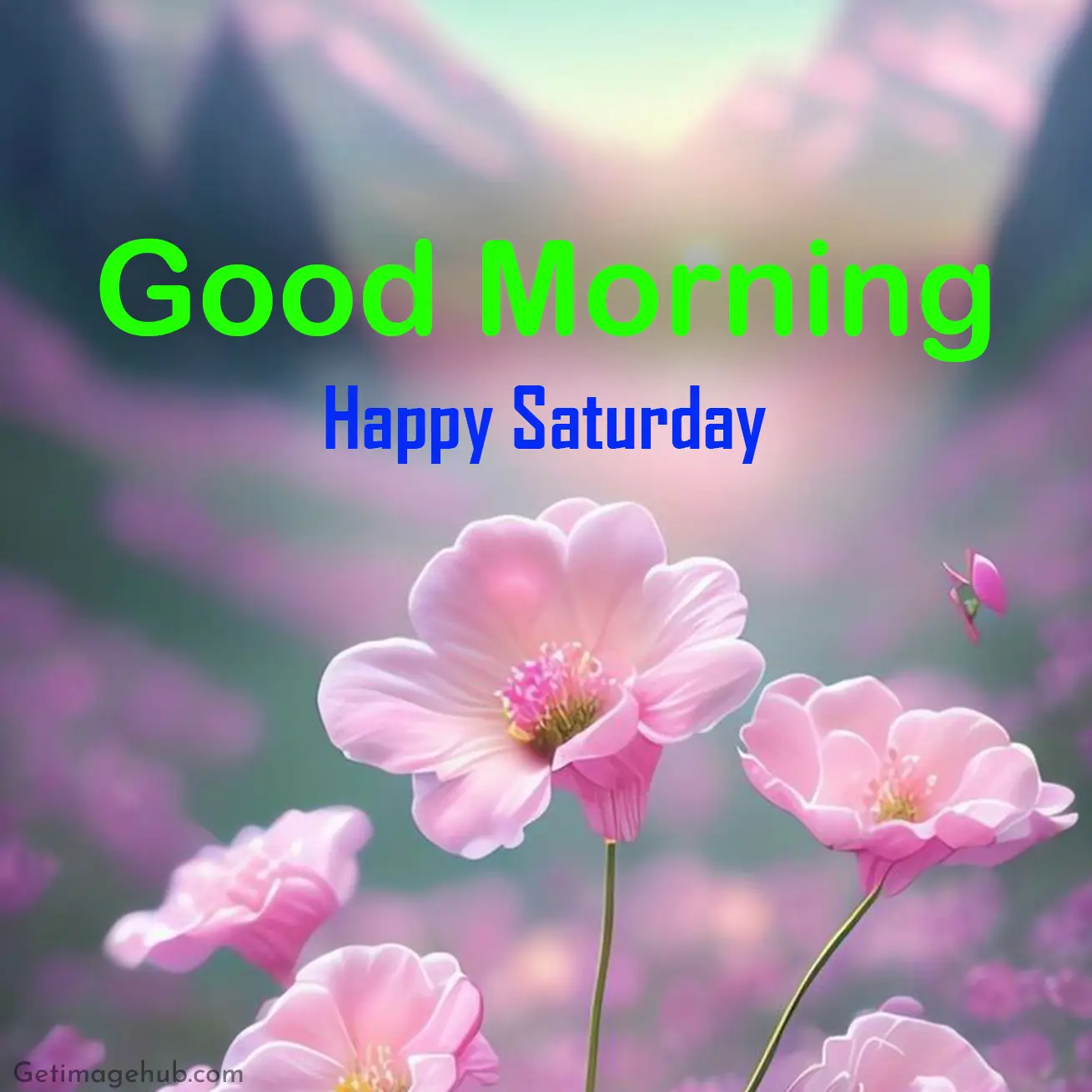 Good morning saturday pictures hd