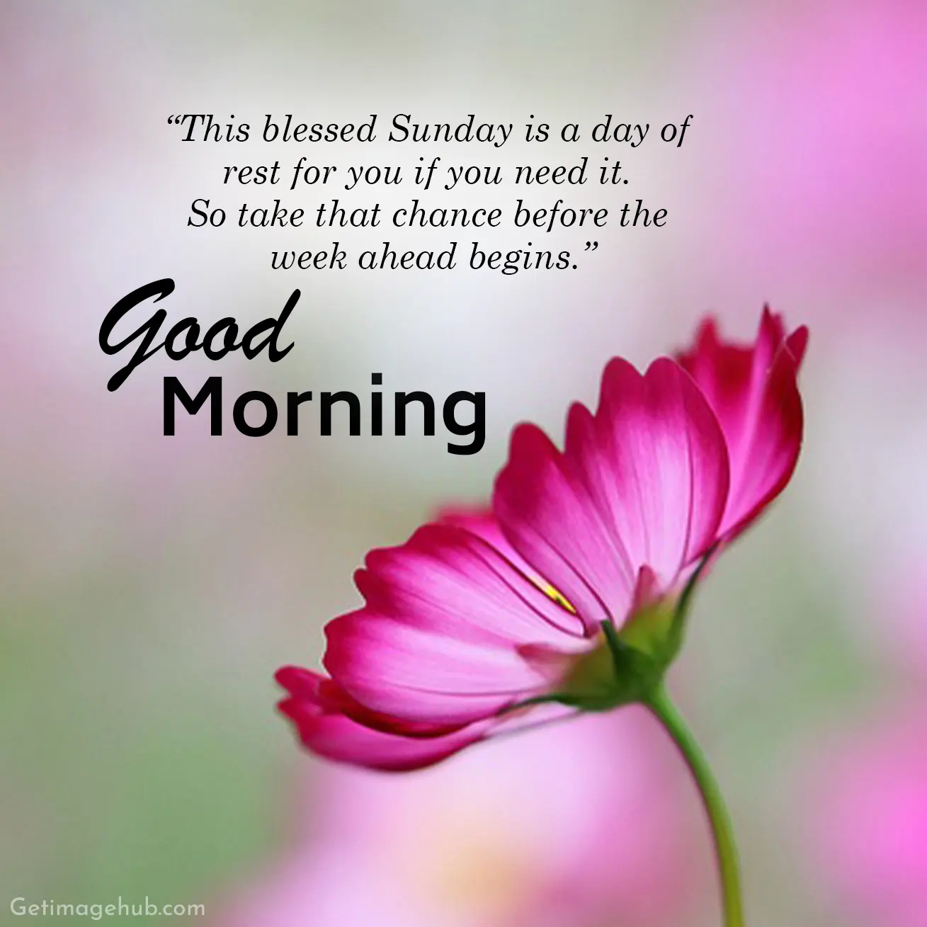 Good morning sunday blessings pictures