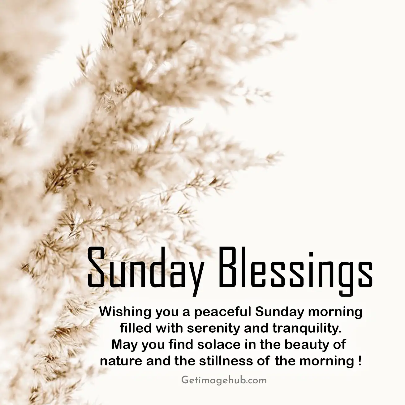 Good morning, sunday blessings pictures hd