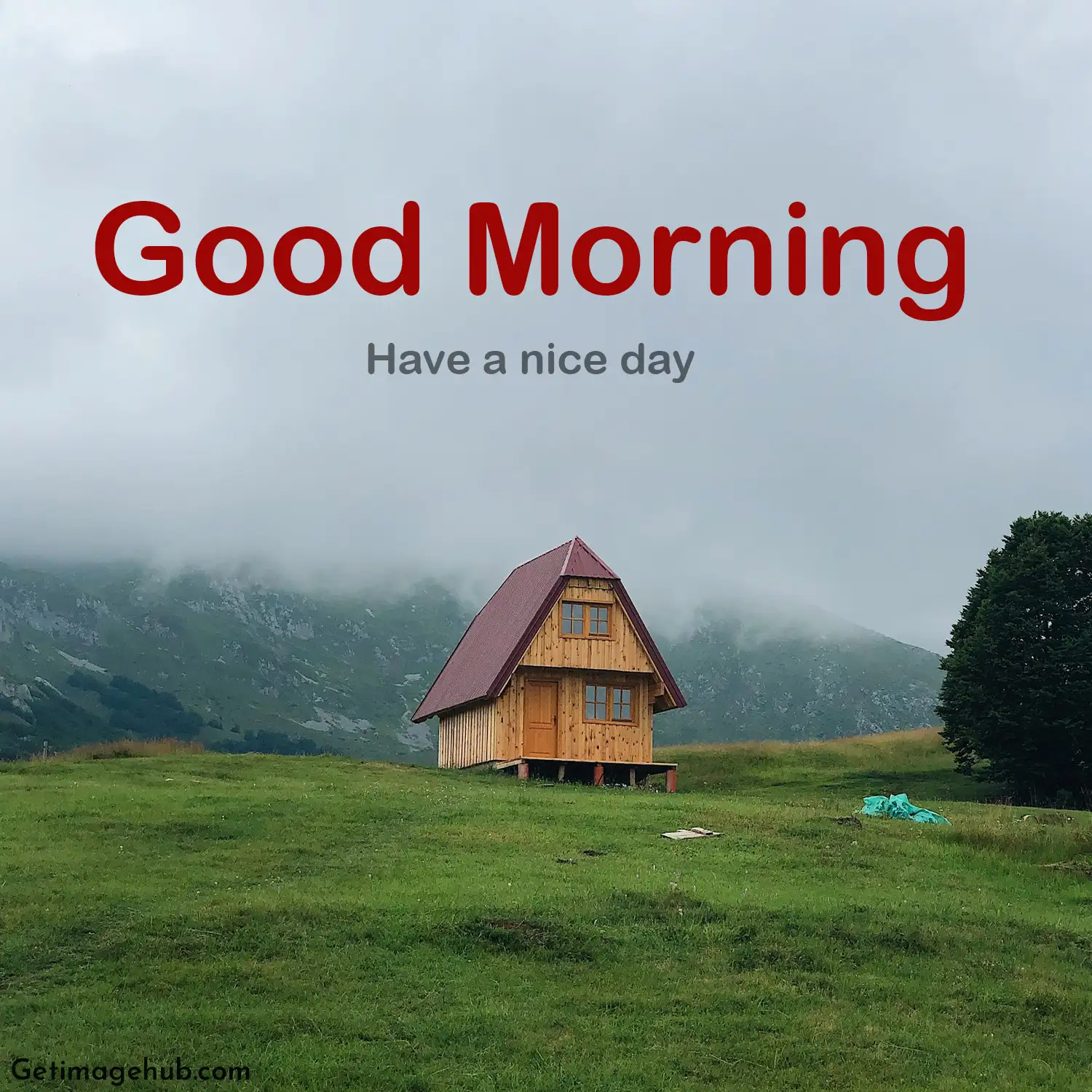 Good morning village nature images