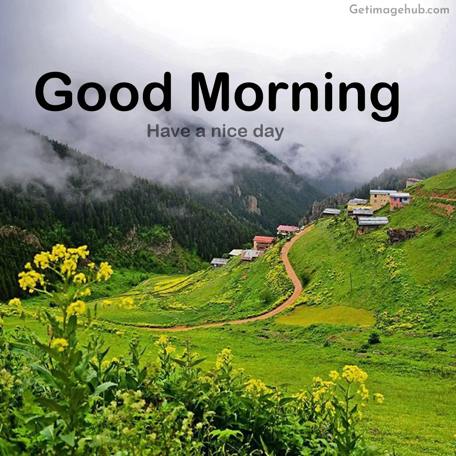 Good morning village pictures