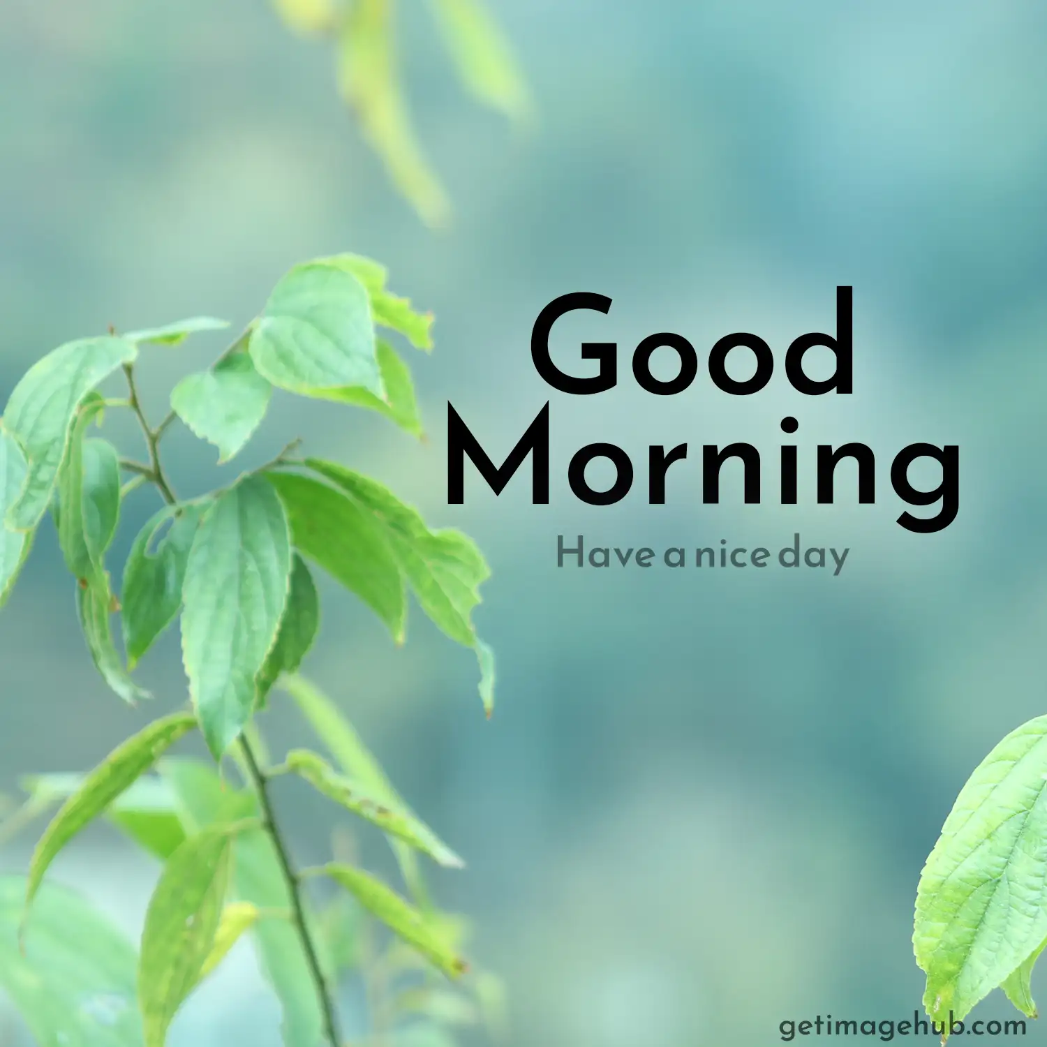 Good morning village nature images