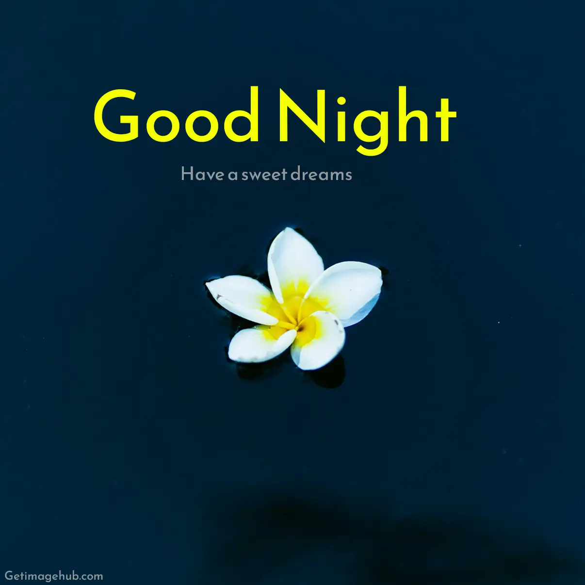 Good night flower images