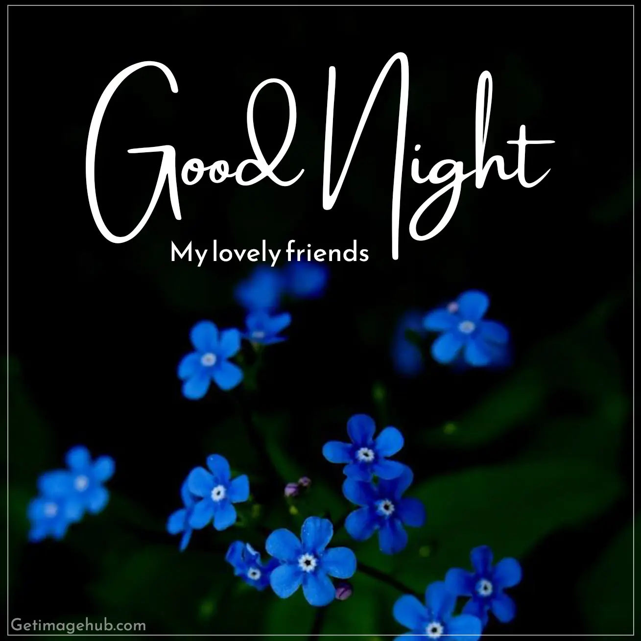 Good night my lovely friends