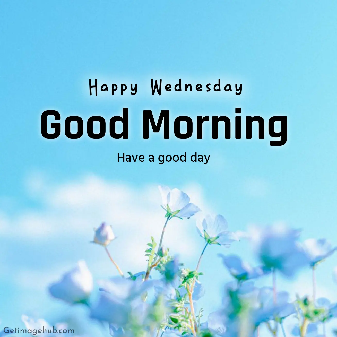 Good morning wednesday hd pictures