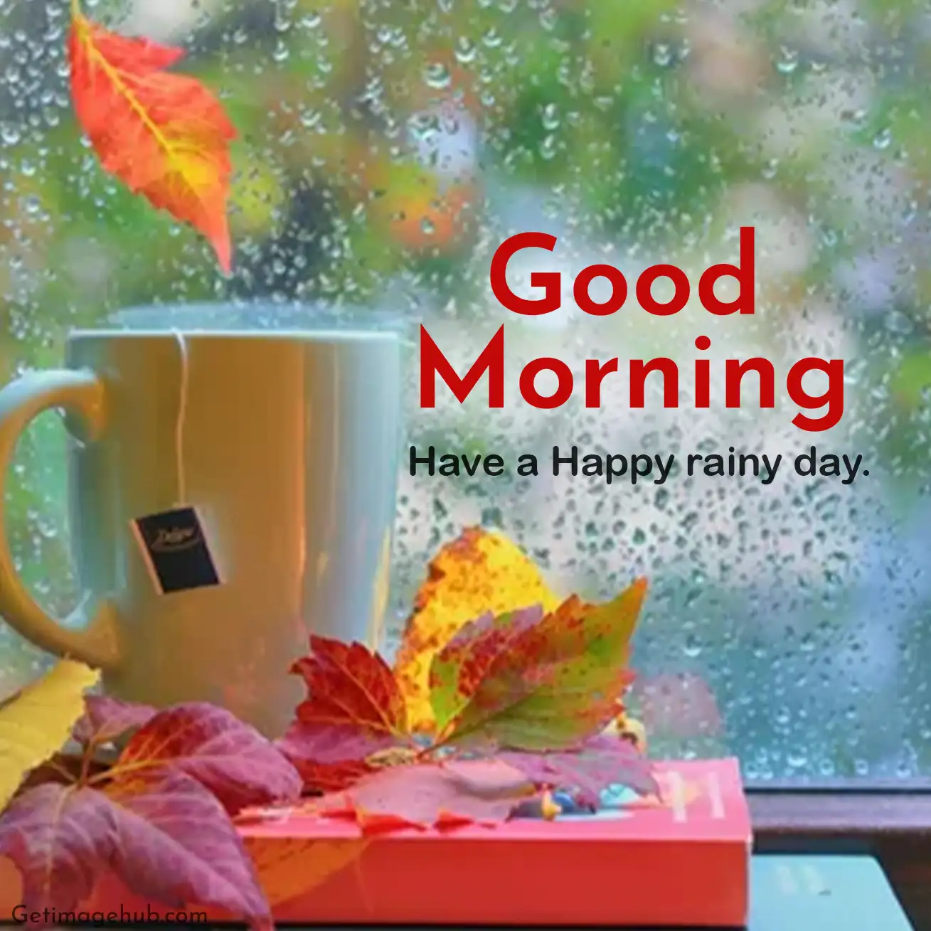 Happy rainy day