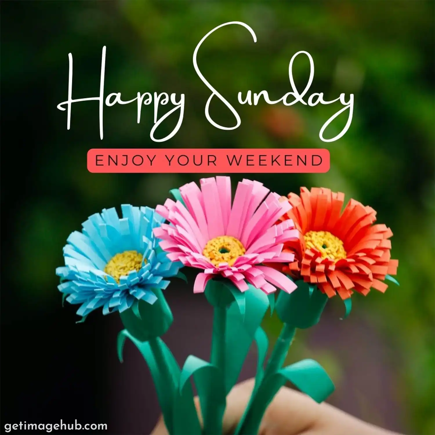 happy sunday flowers pictures