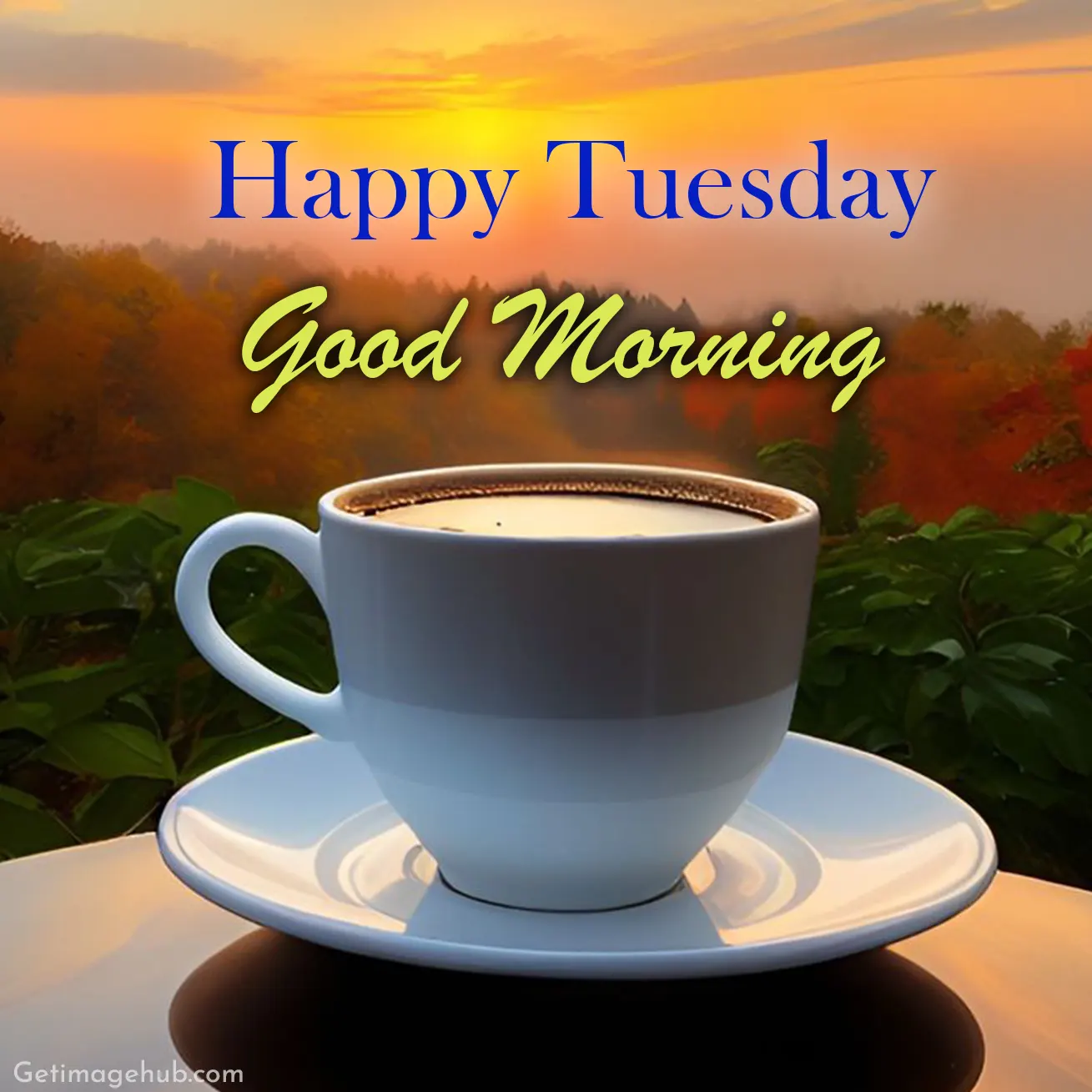 Happy Tuesday and good morning 2024