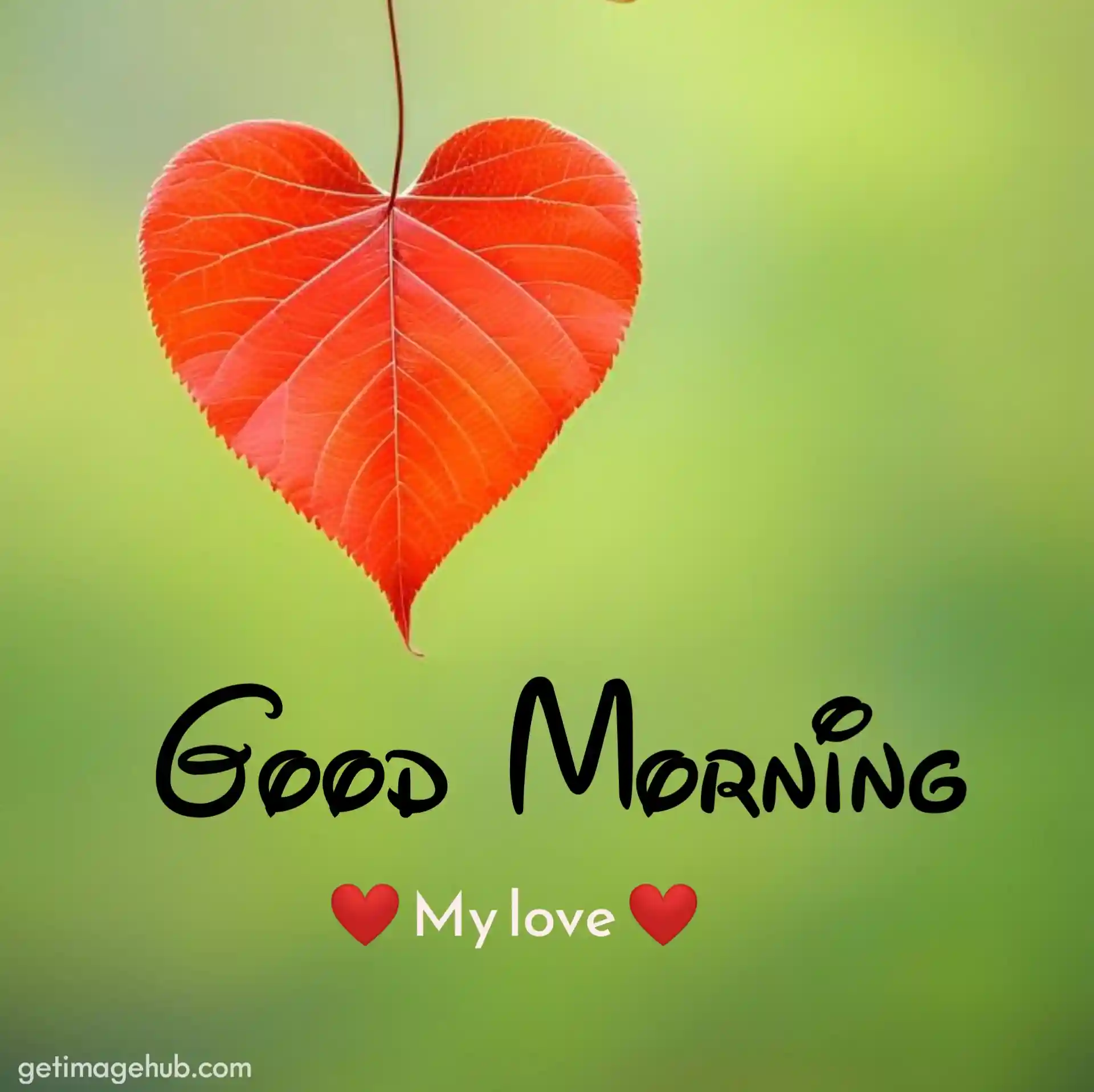 Love Good Morning