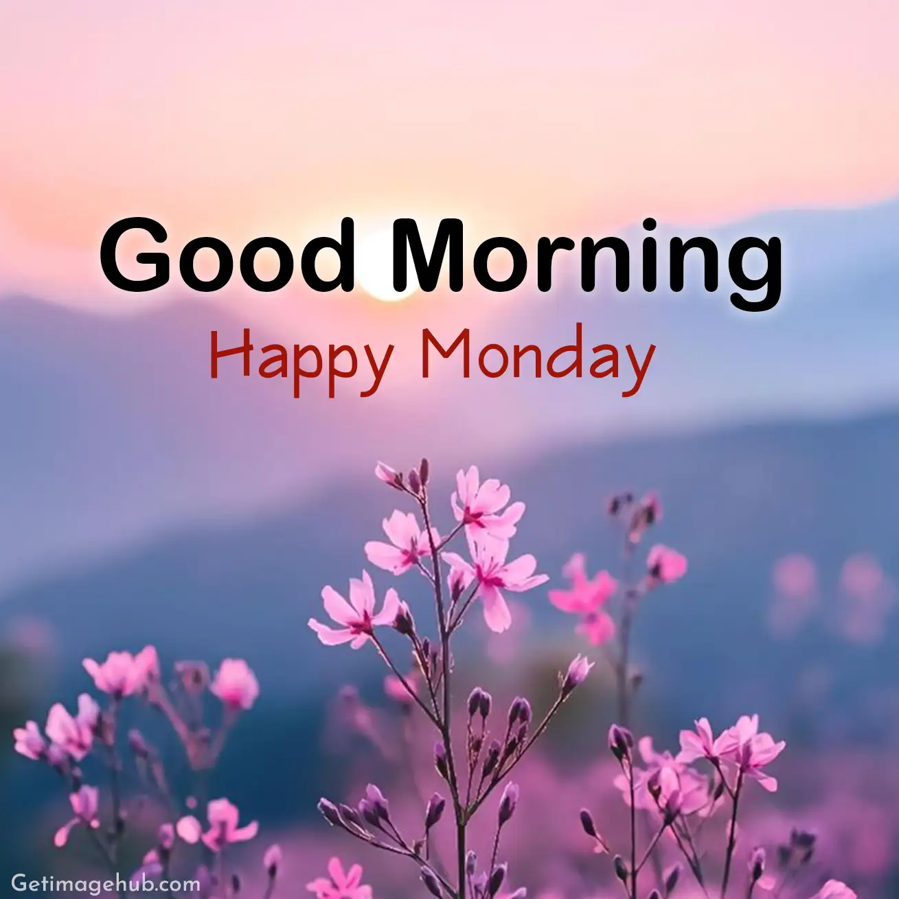 Monday morning pictures HD