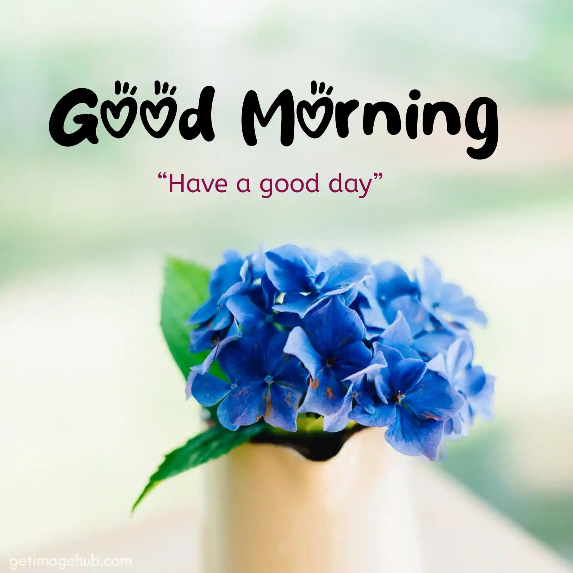 New Good Morning Flowers Images HD