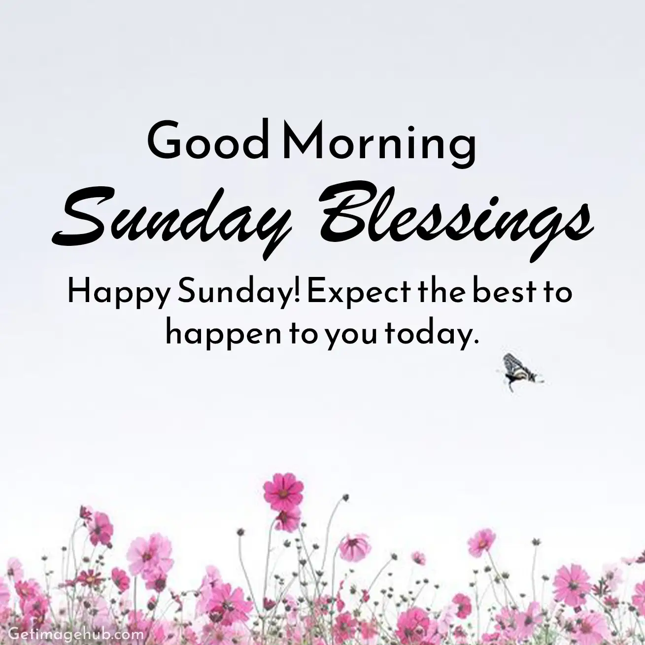 New Good Morning Sunday Wishes Images