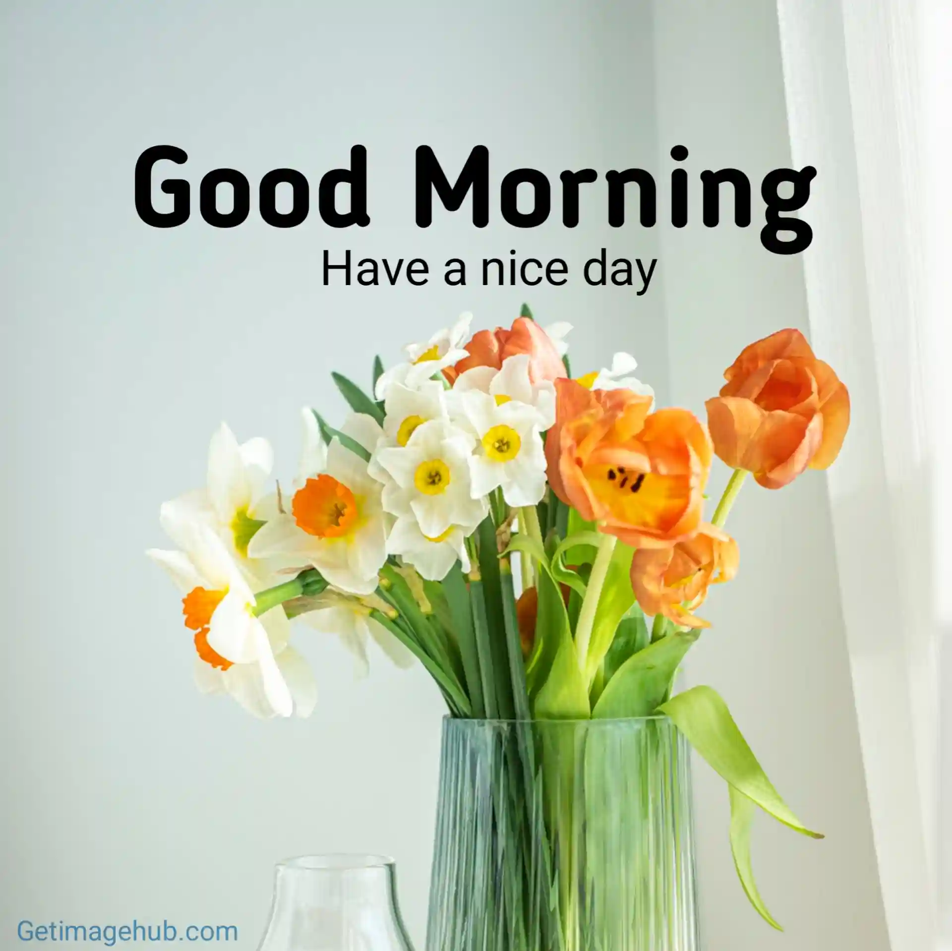 New HD Good Morning Flowers Images