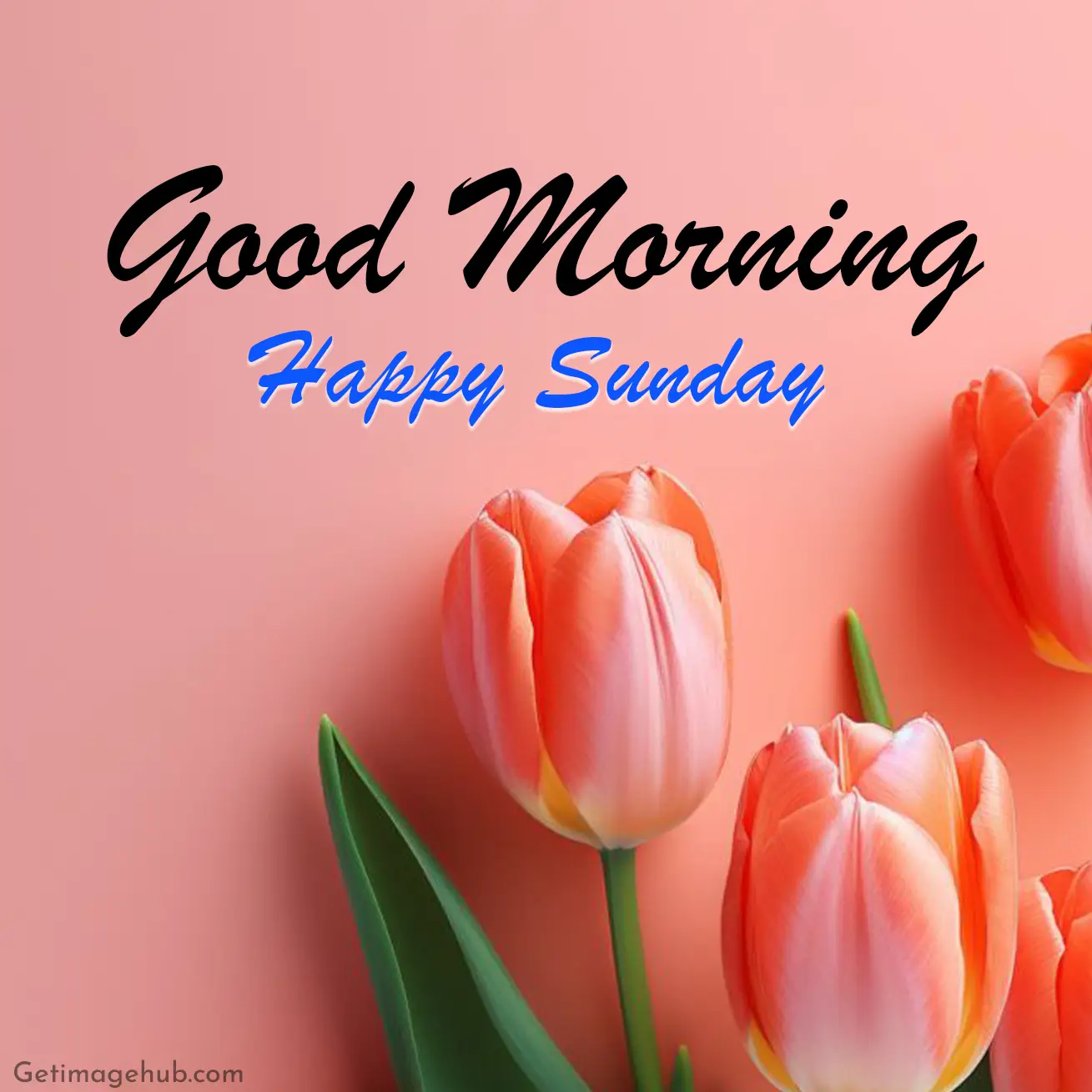 New Happy Sunday Images HD