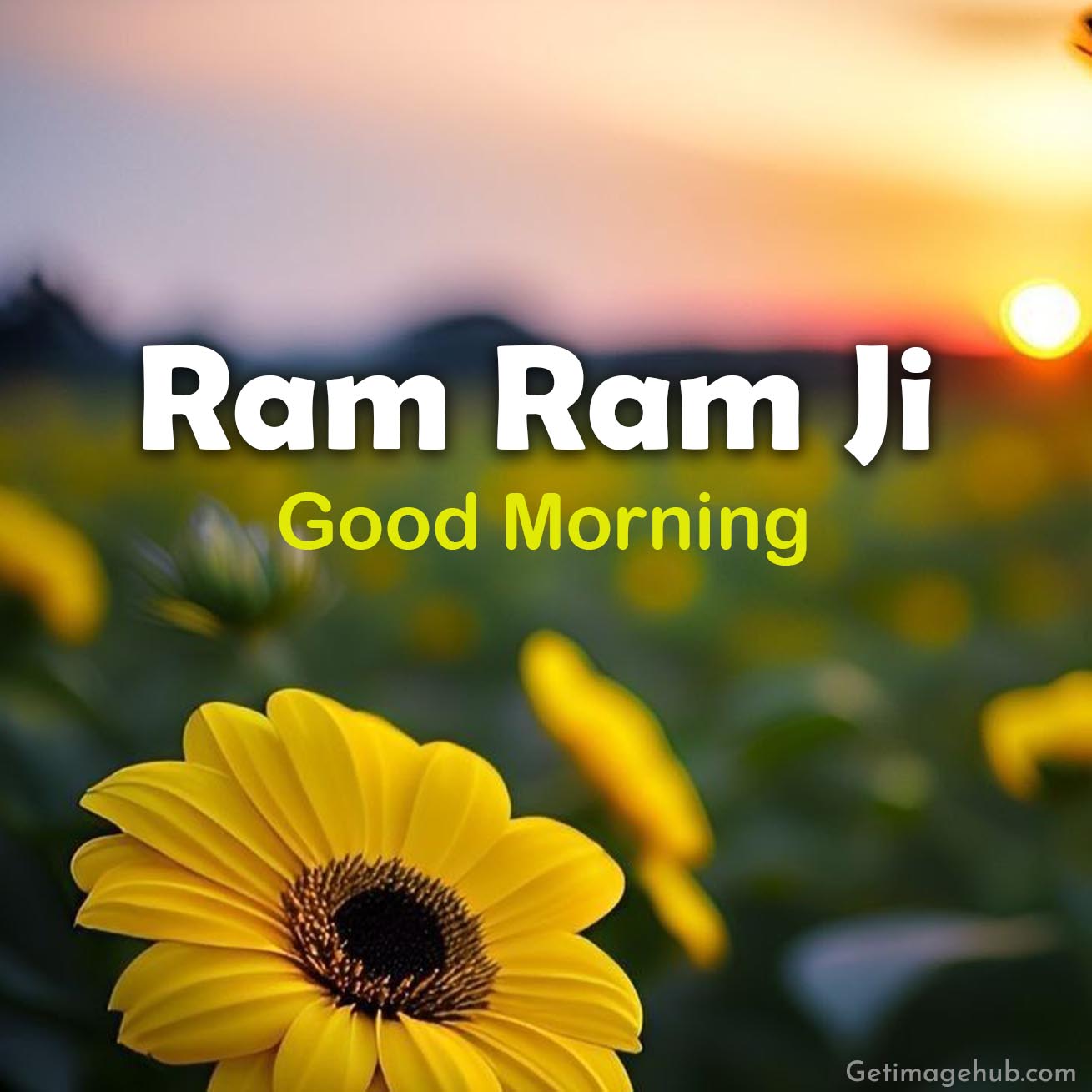 Ram Ram Ji English Homepage