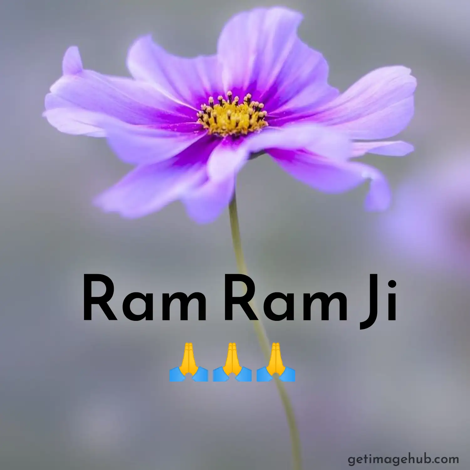 Ram Ram Ji pictures