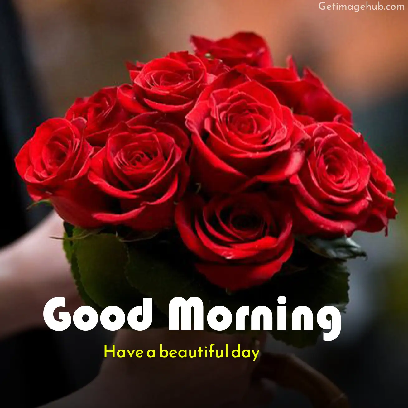 Rose Images HD Good Morning