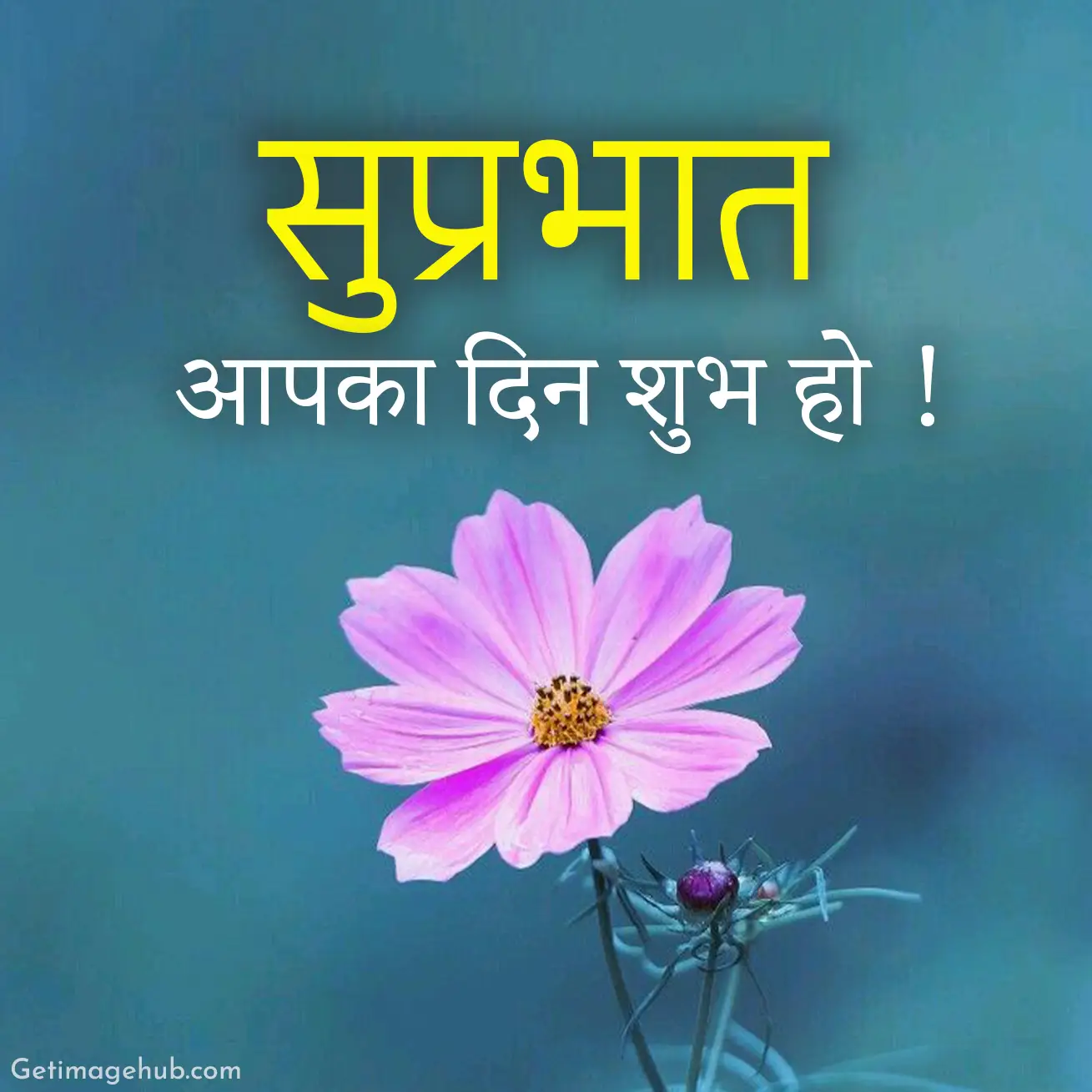 Good Morning Images in Hindi | खुबसूरत सुप्रभात फोटो