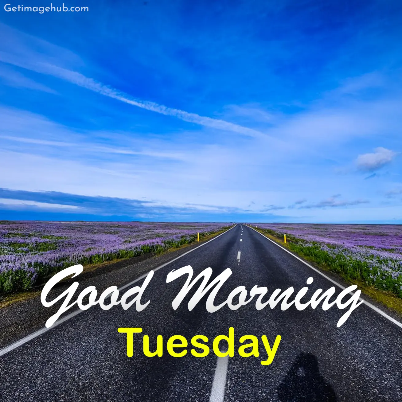 Good morning tuesday images