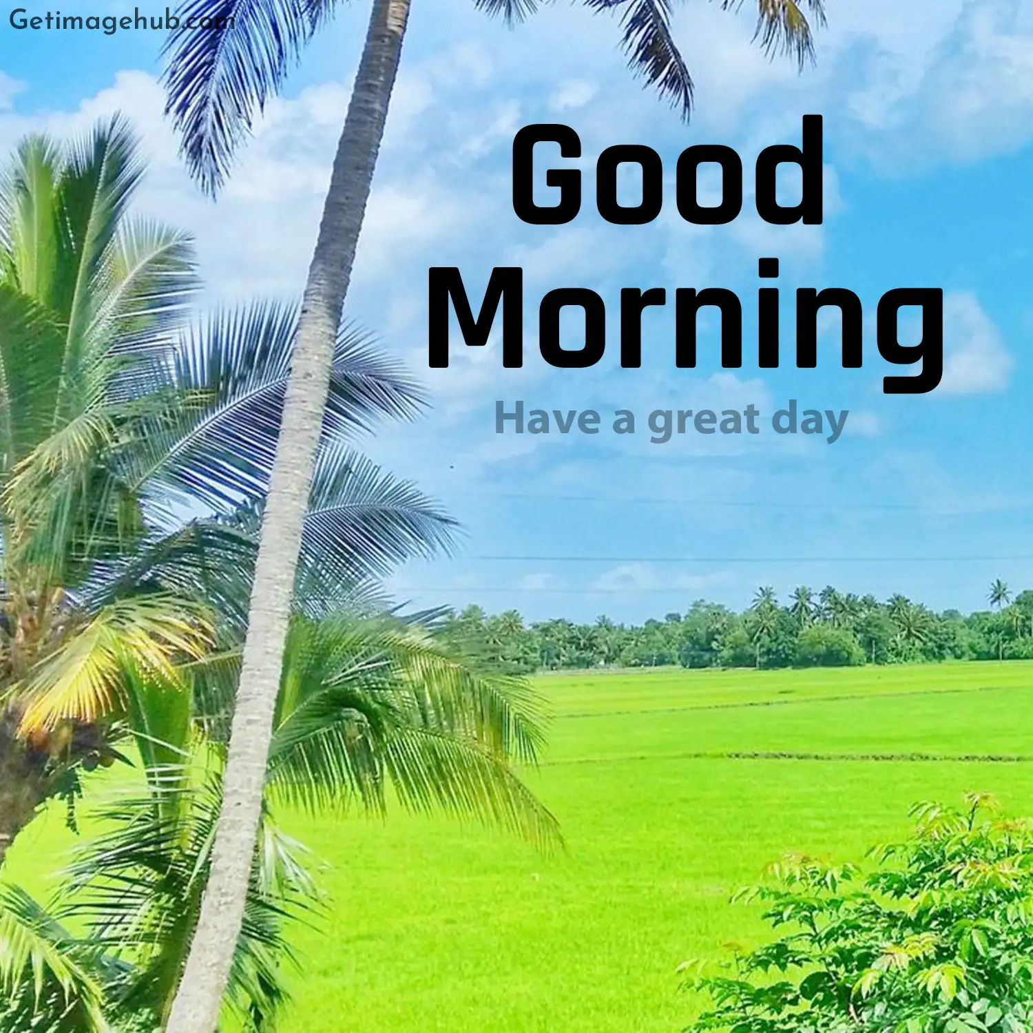 Good morning in the village HD picture