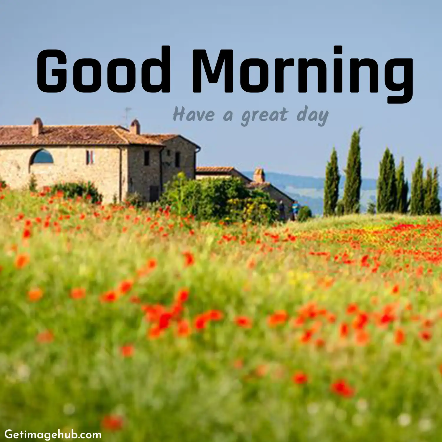 Country Good Morning Images HD