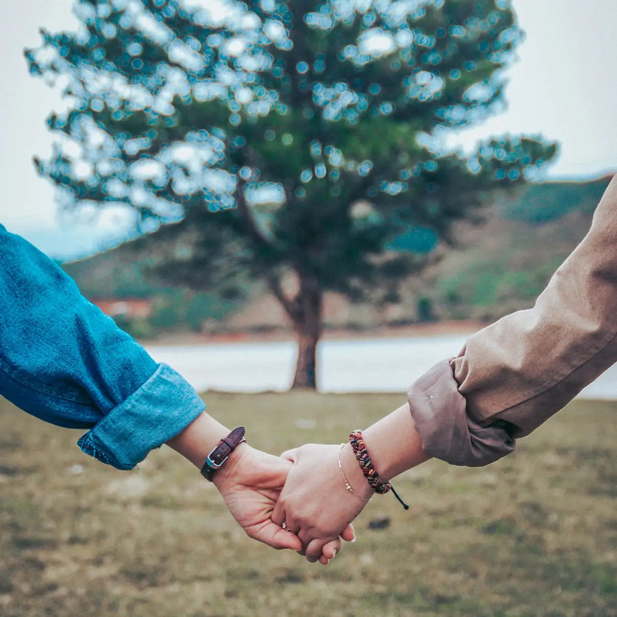 dp couple shaking hands