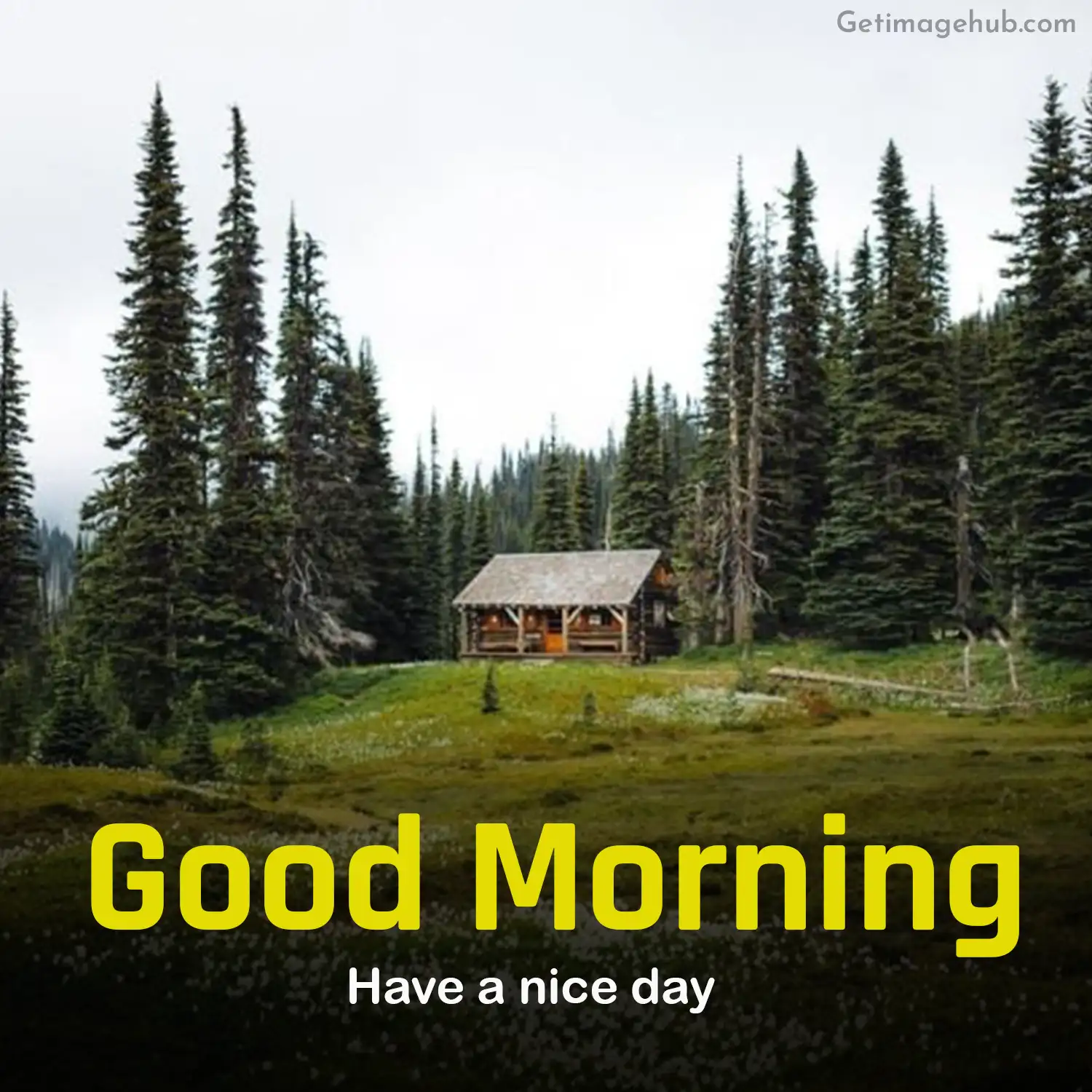 Good morning pictures of village natural scenery